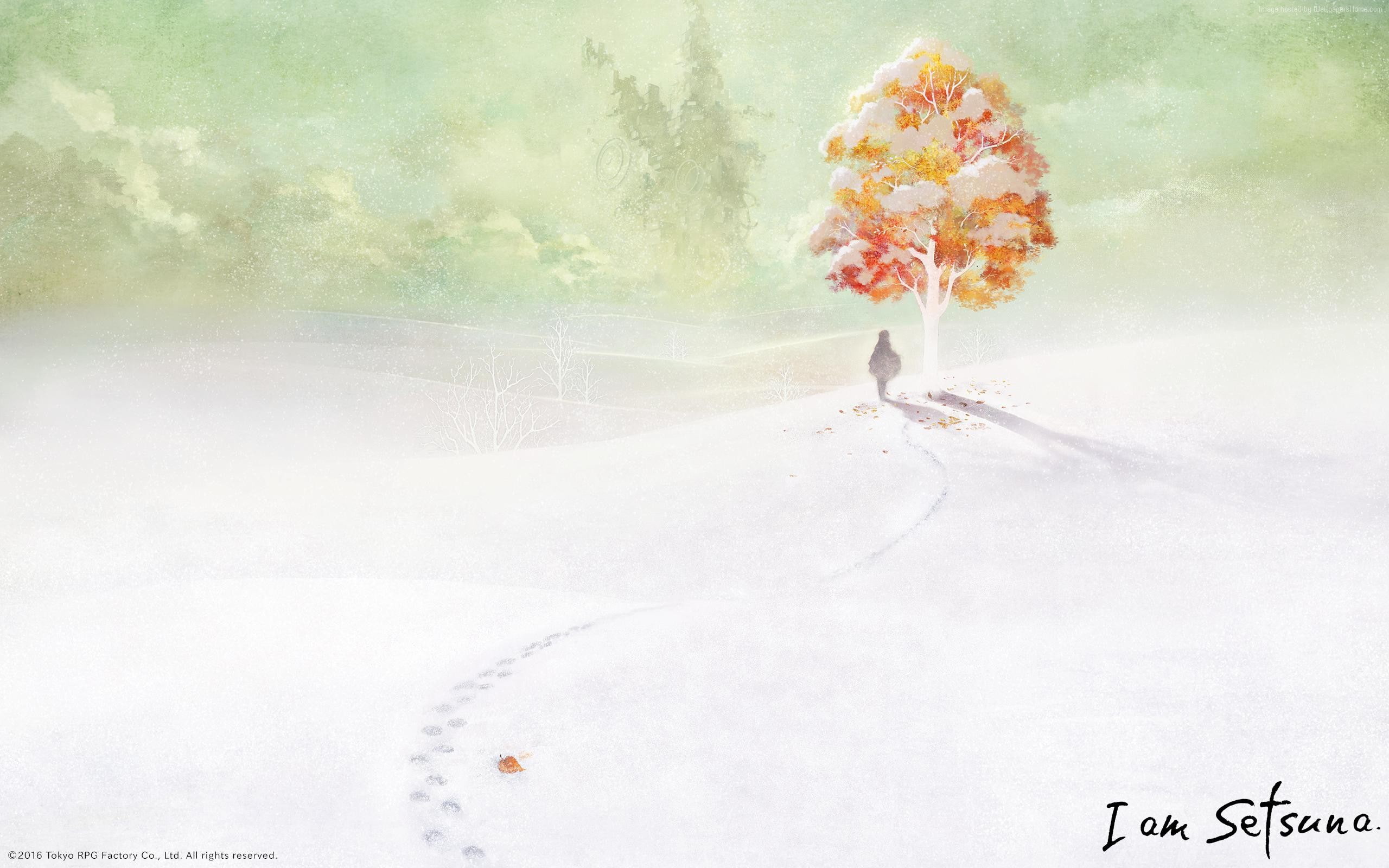 plant, I Am Setsuna, freshness, snow, close-up, outdoors, best RPG games, one person, flowering plant, beauty in nature, 2K, tree, flower, motion, water, HD Wallpaper