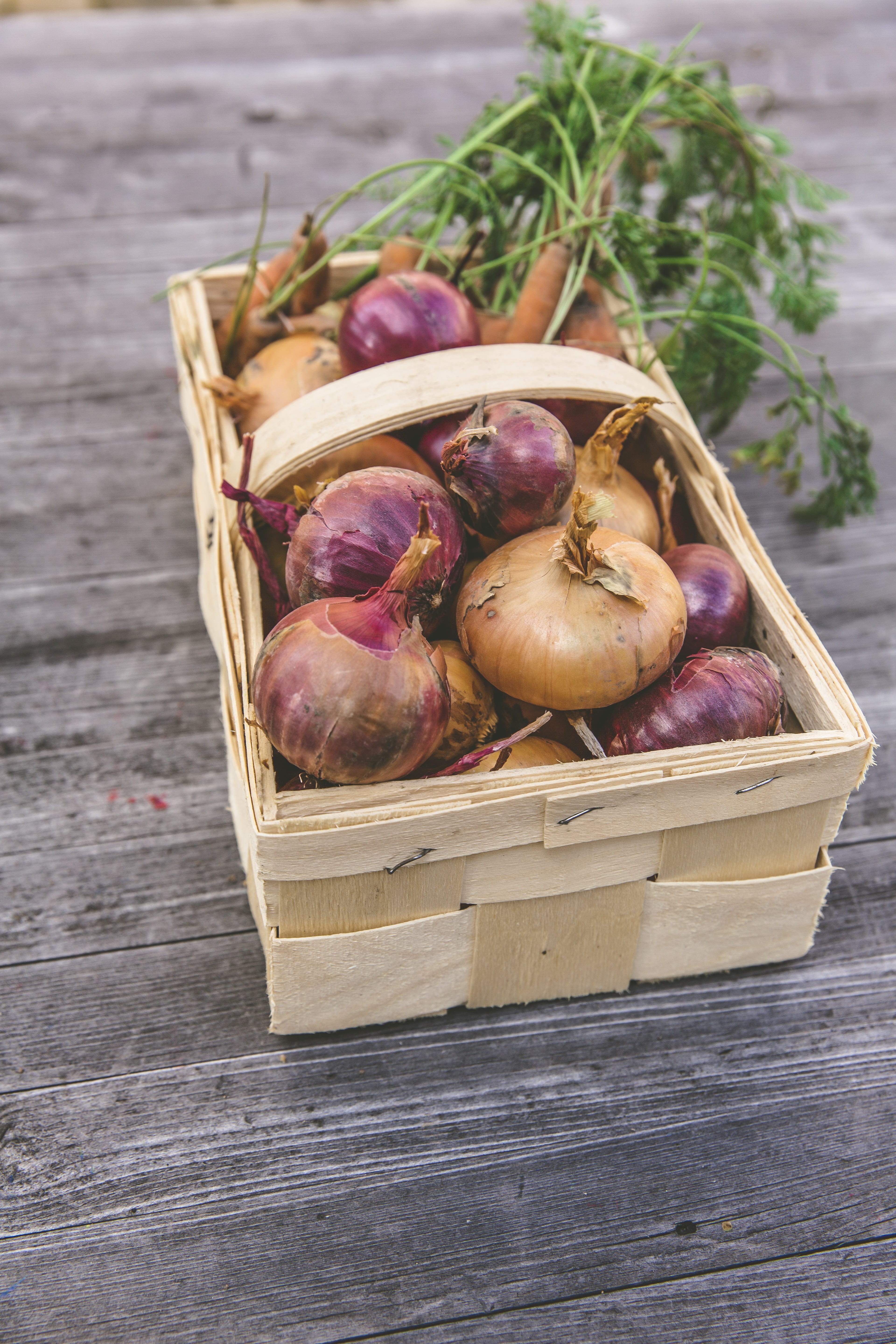 gardening, purple, consumer waiver, organic, self catering, urban, home made, still life, container, common beet, sustainable, onion, table, wellbeing, Phone HD Wallpaper