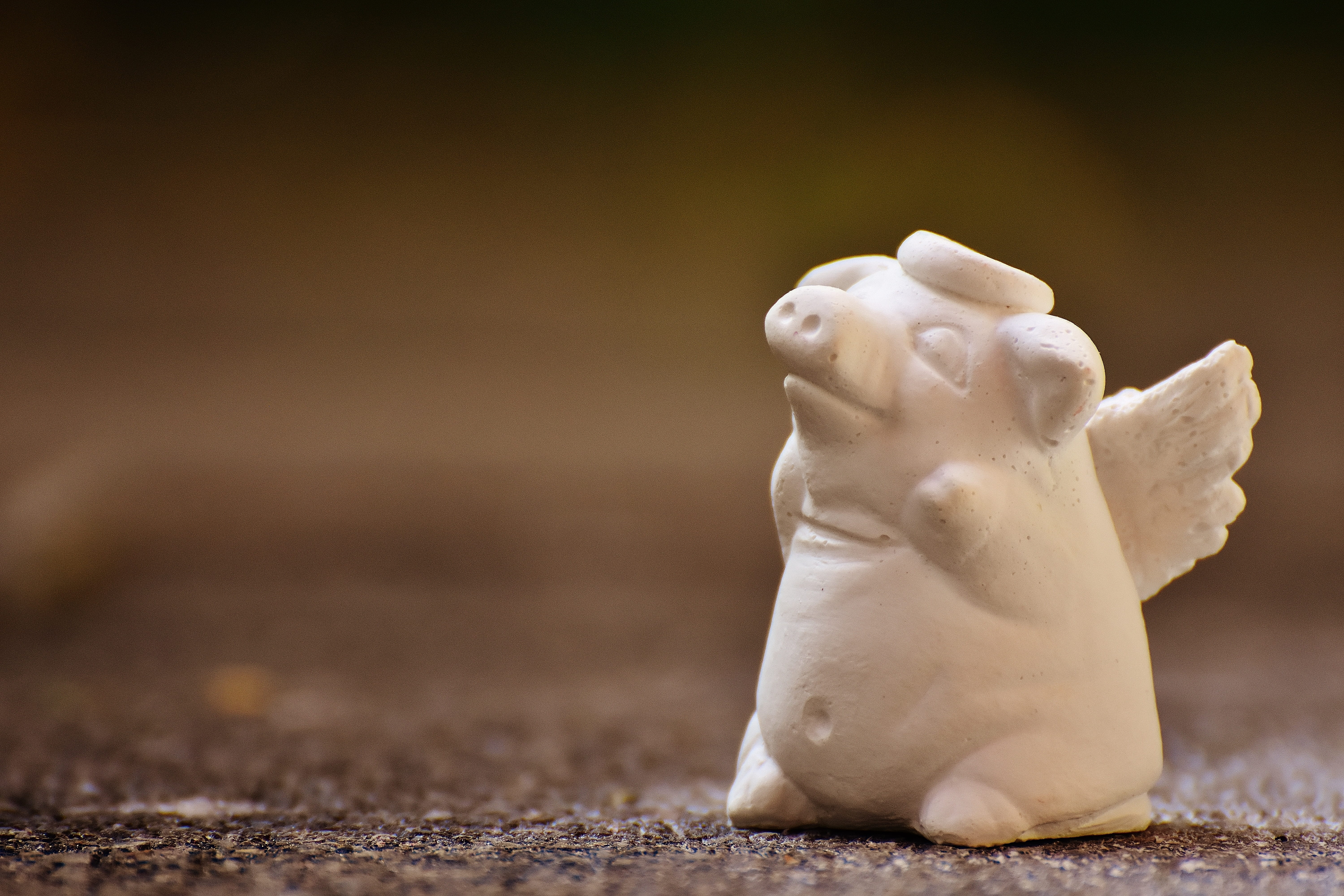 indoors, seasoning, halo, close-up, gypsum, selective focus, still life, pitcher - jug, animal representation, self-made, mammal, food and drink, representation, HD Wallpaper