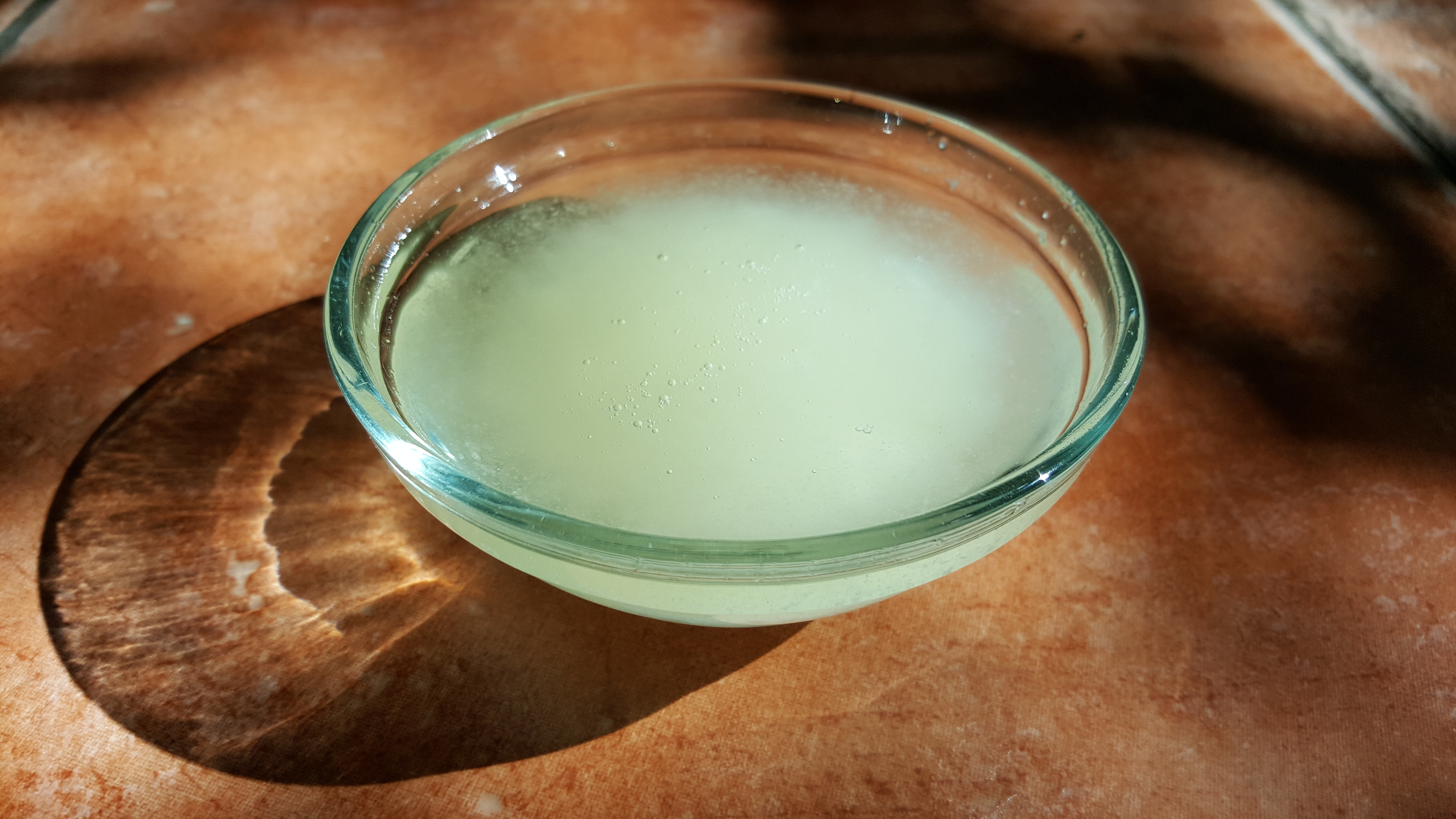 indoors, glass dish, table, wood - material, coconut oil, ayurveda, organic, wellbeing, food and drink, round, ready-to-eat, close-up, freshness, drink, HD Wallpaper