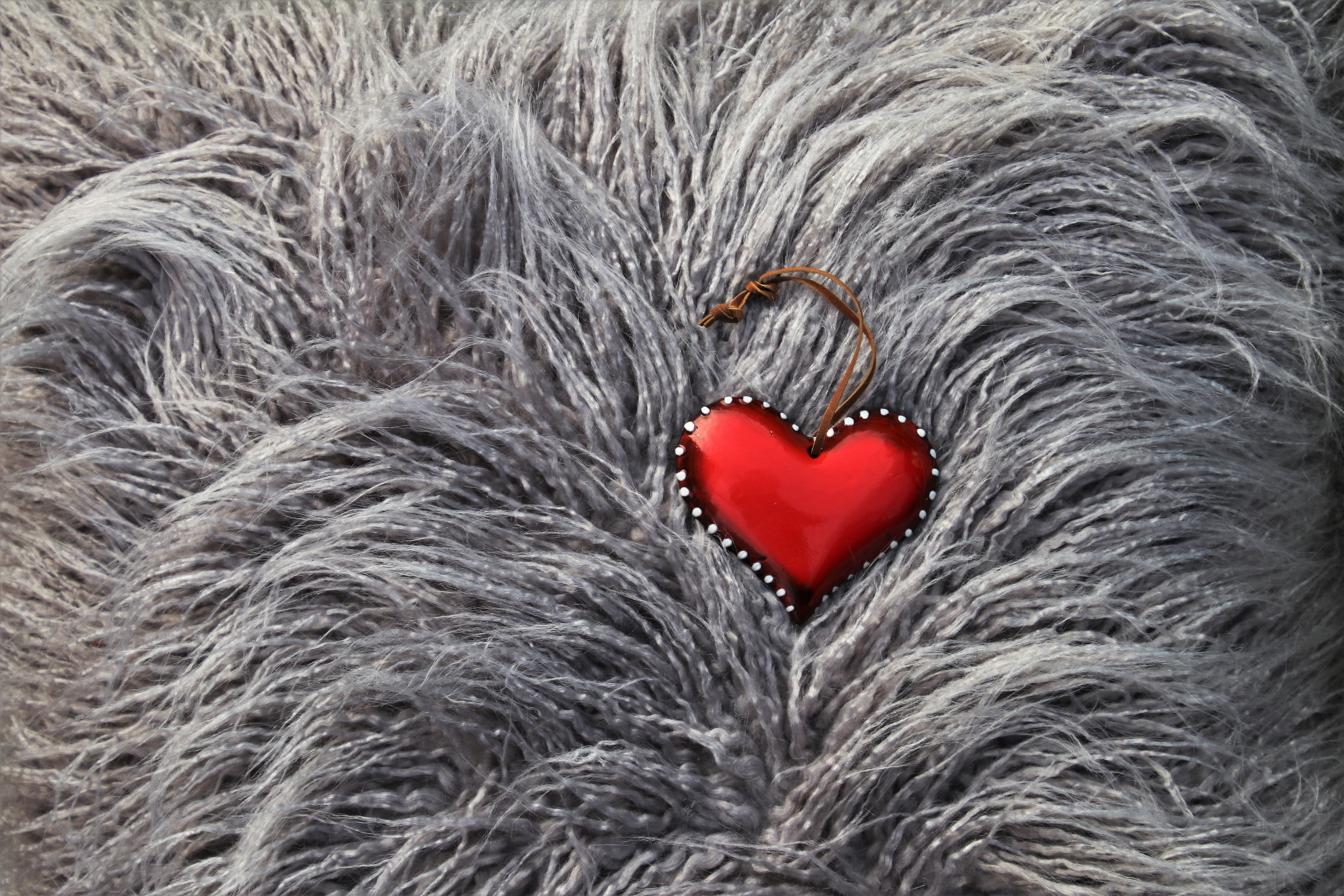pattern, pets, domestic animals, red, design, animal body part, domestic, heart, one animal, hotel, 5K, animal themes, heart shape, red heart, animal, HD Wallpaper