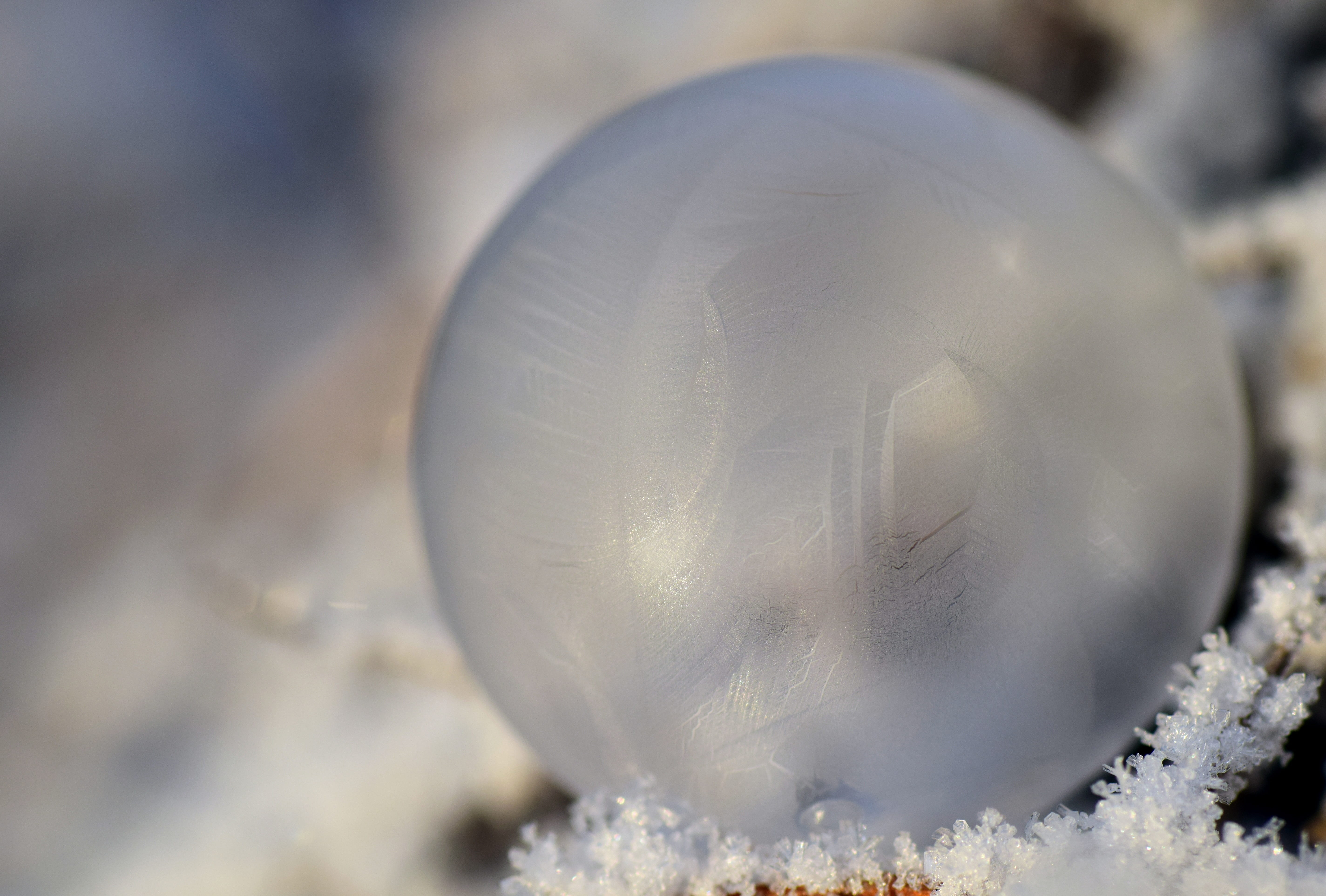 structure, close-up, soap bubble, white color, beautiful, cold temperature, ball, winter, sphere, outdoors, 5K, focus on foreground, frozen, snow, about, HD Wallpaper