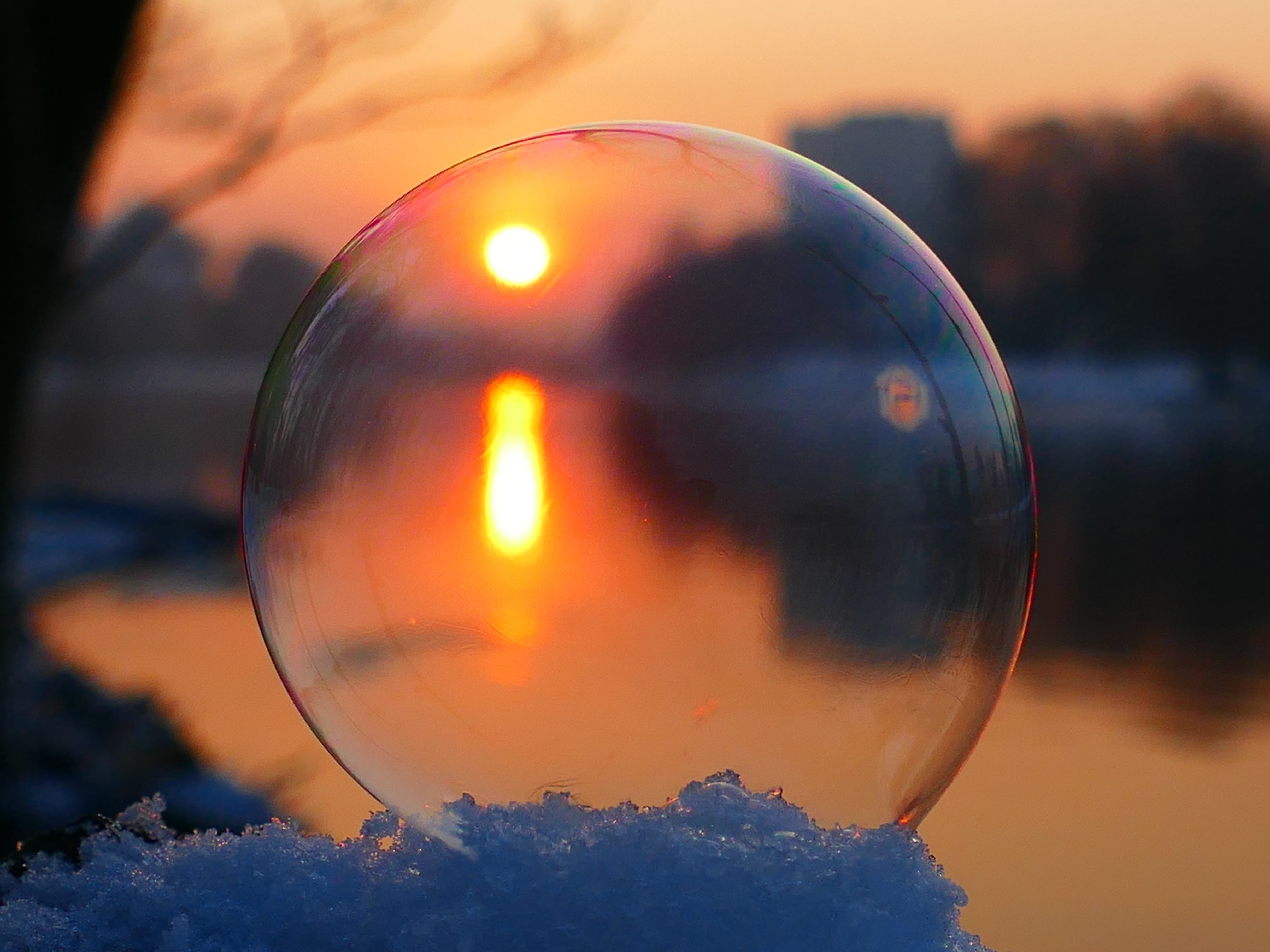 4K, sensitive, circle, plant, close-up, snow, tree, body, winter, sphere, wintry, sky, nature, focus on foreground, bubble wand, single object, outdoors, HD Wallpaper
