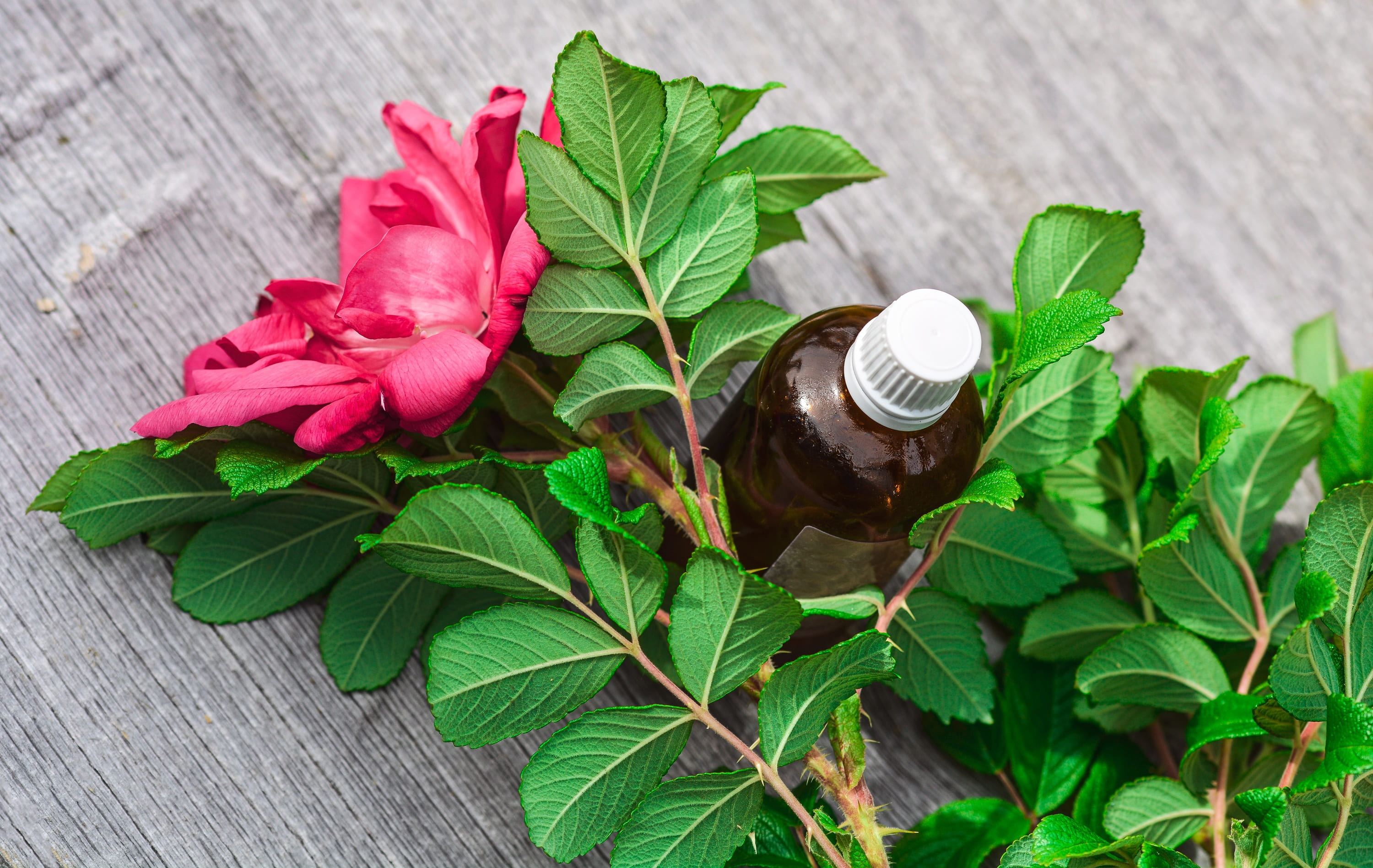 grey, container, herb, rose, flower, wood - material, petals, bottle, relaxation, essential, treatment, oil, colorful, liquid, aroma, healthcare and medicine, HD Wallpaper