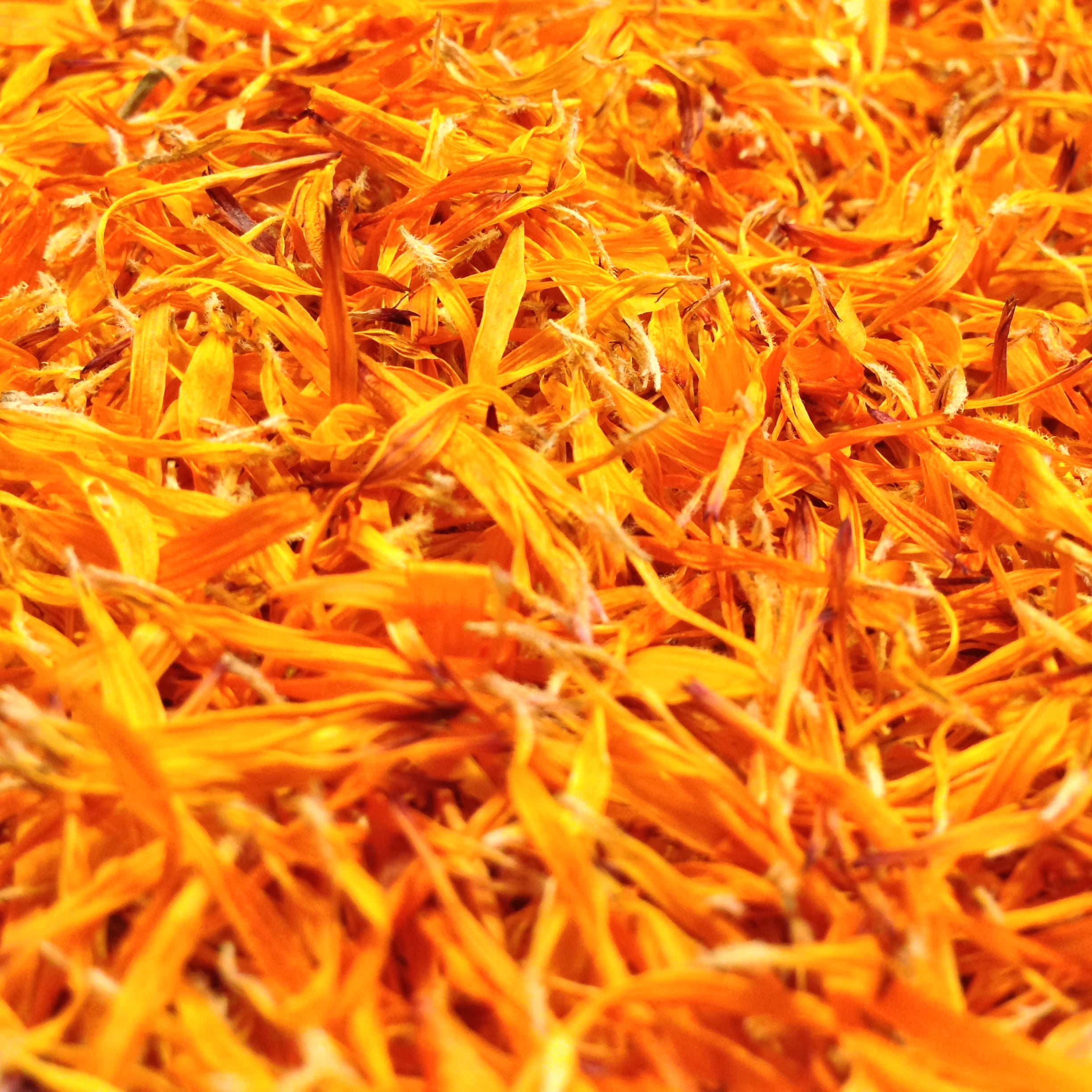 indoors, high angle view, selective focus, beauty in nature, medicinal plant, still life, 1080P, marigold, orange color, naturopathy, orange, food and drink, Phone HD Wallpaper
