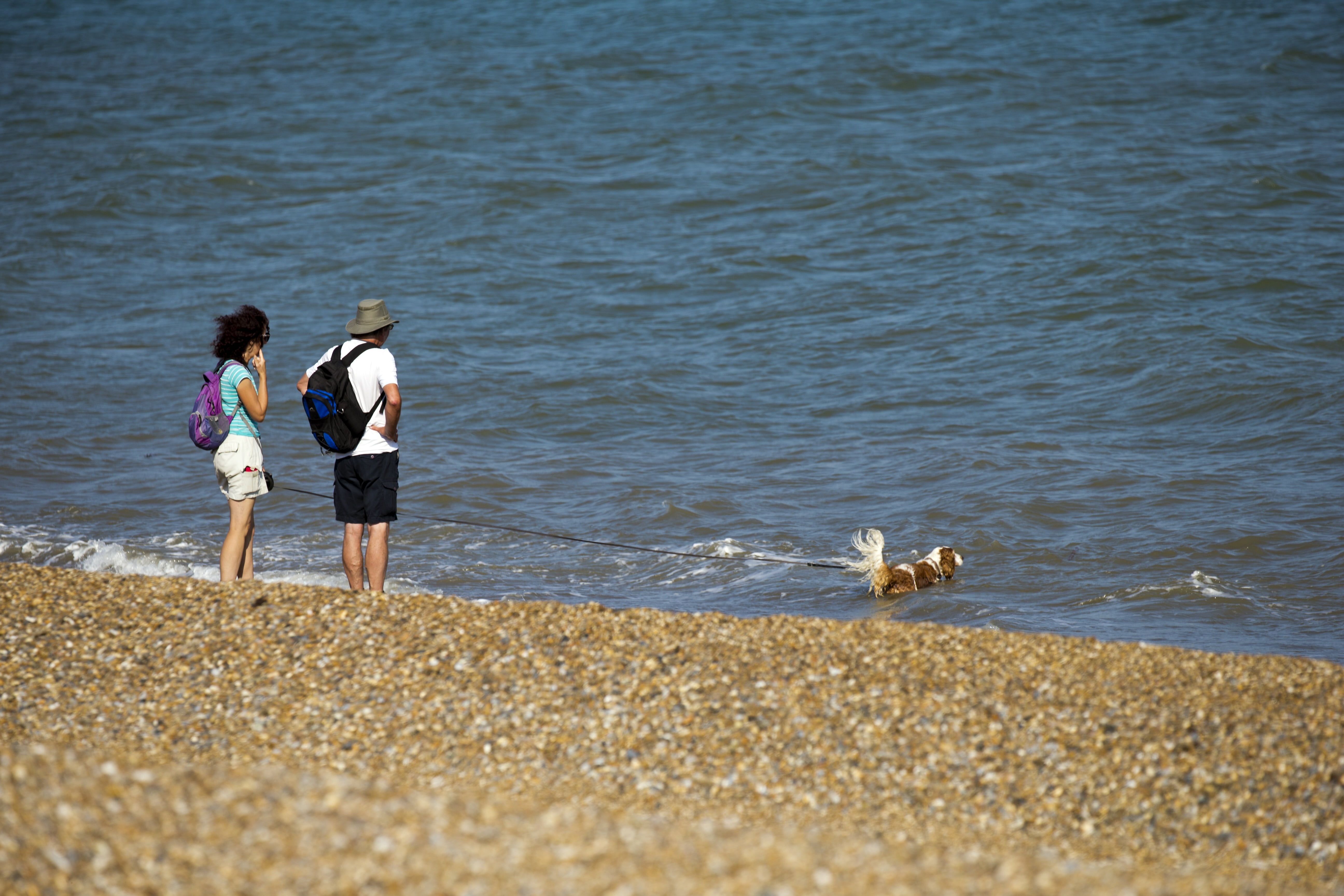 people, animal themes, nature, real people, dog swimming, sea, outdoors, land, standing, togetherness, sand, pebbles, suffolk, beach, casual clothing, two people, HD Wallpaper