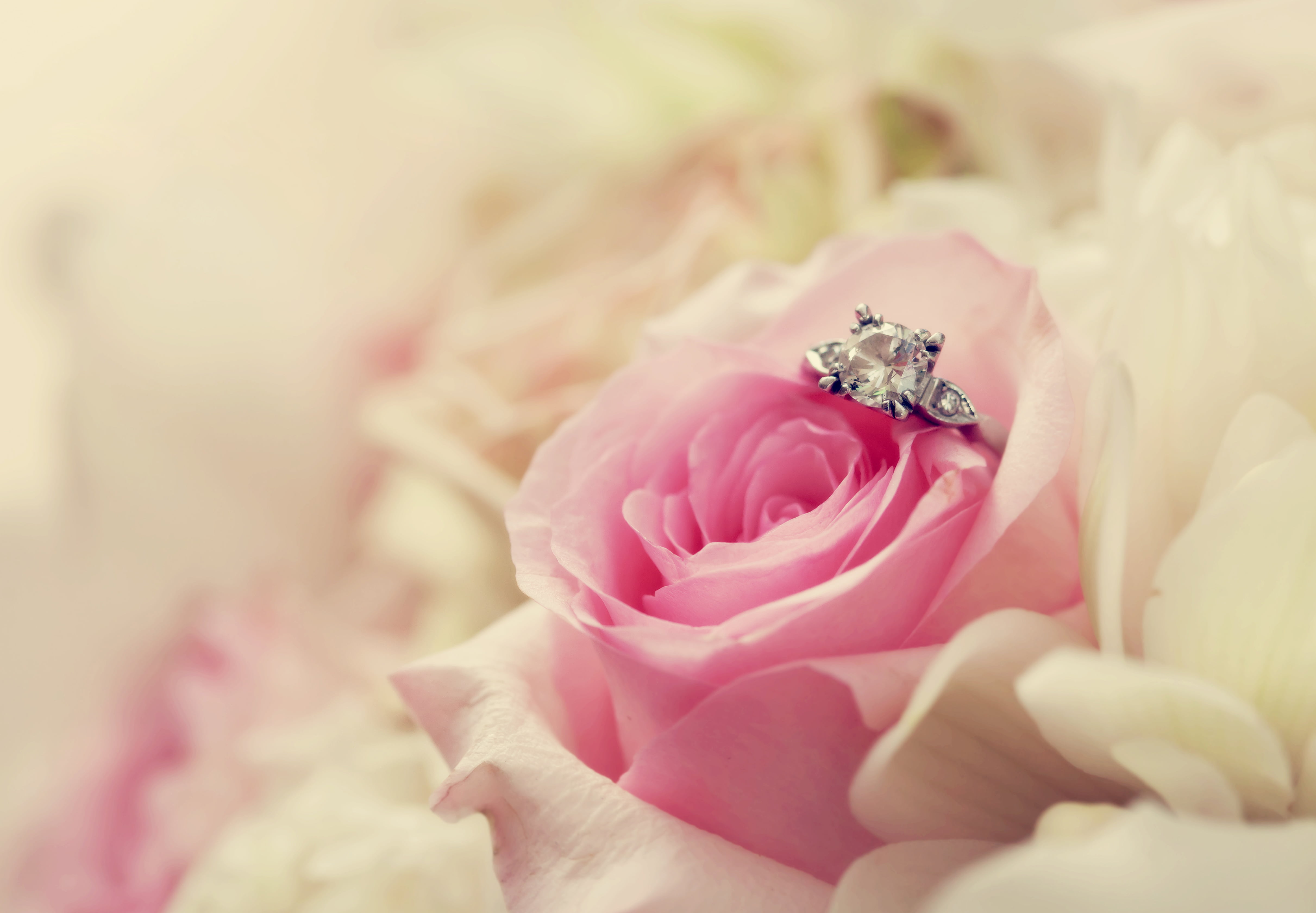 wedding, close-up, flowering plant, bouquet, softness, bride, ring, finger, rose, one person, colored, jewelry, wedding Ring, plant, fashion, fragility, HD Wallpaper