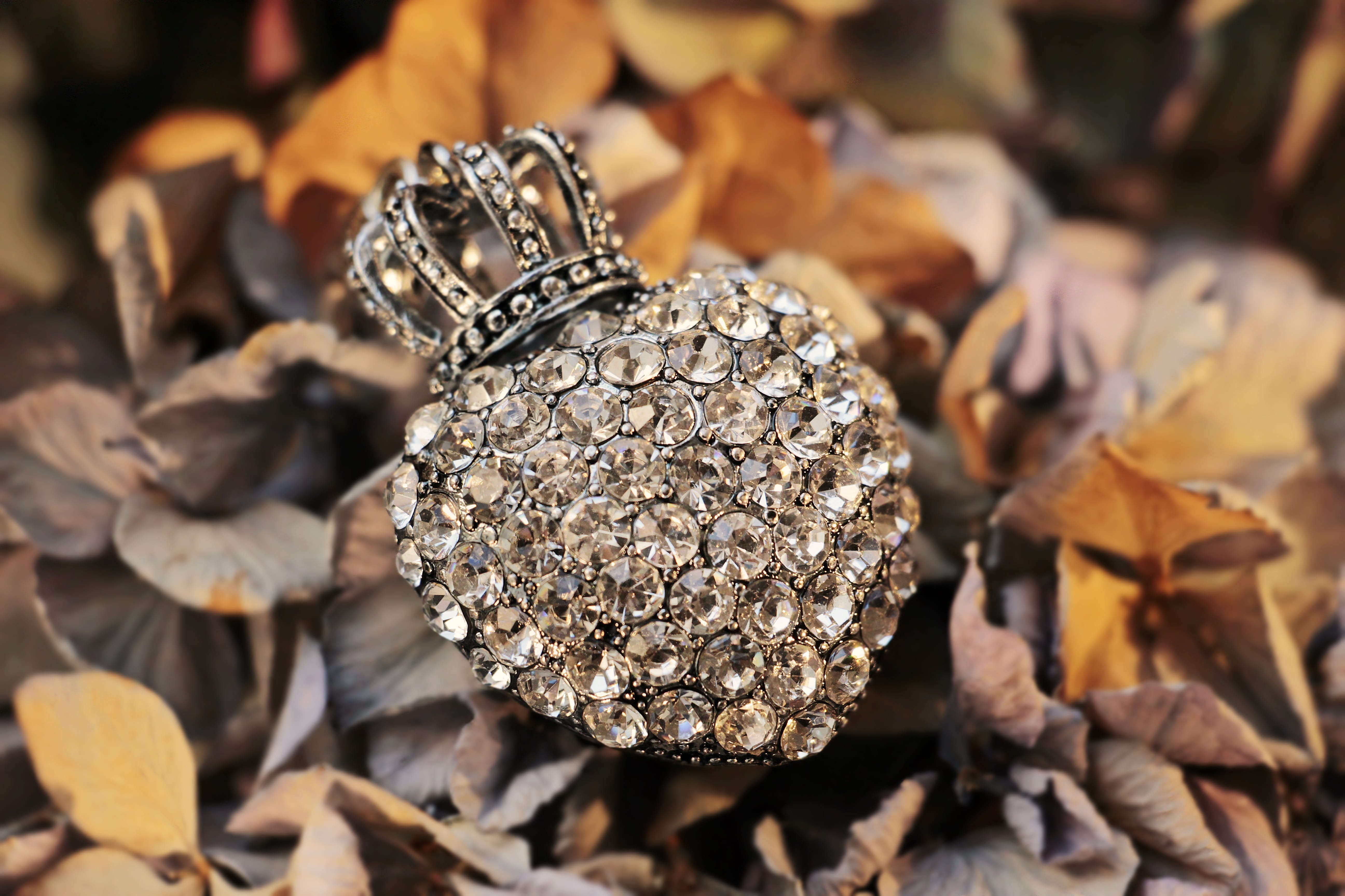 encrusted, plant, plant part, selective focus, diamonds, rhinestone heart, land, greeting, beautiful, hotfix, beauty in nature, autumn, tender, day, rhinestone, HD Wallpaper
