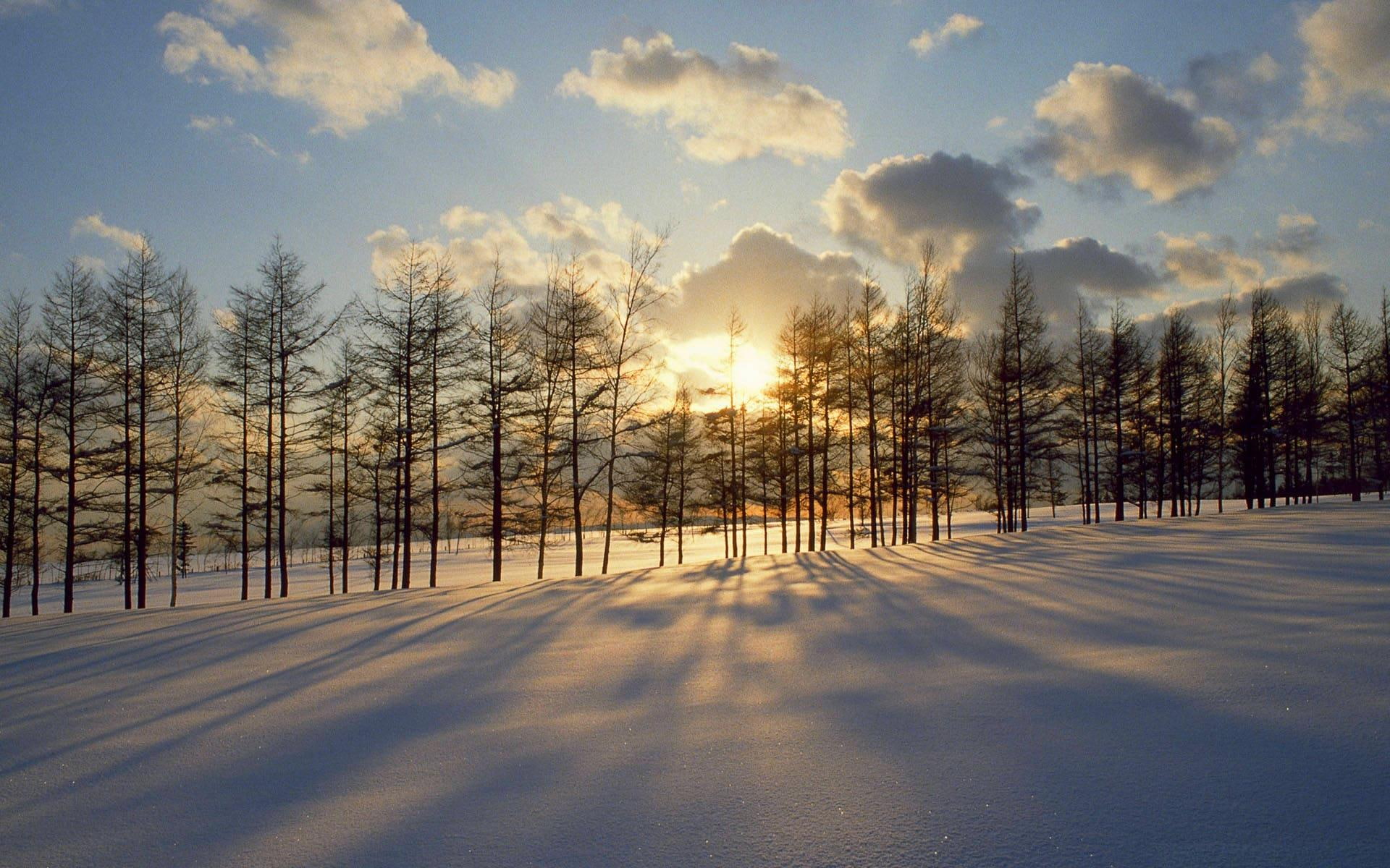 sunset, winter, 3d and abstract, shadow, dusk, 1080P, clouds, trees, snow, breakthrough, rows, HD Wallpaper