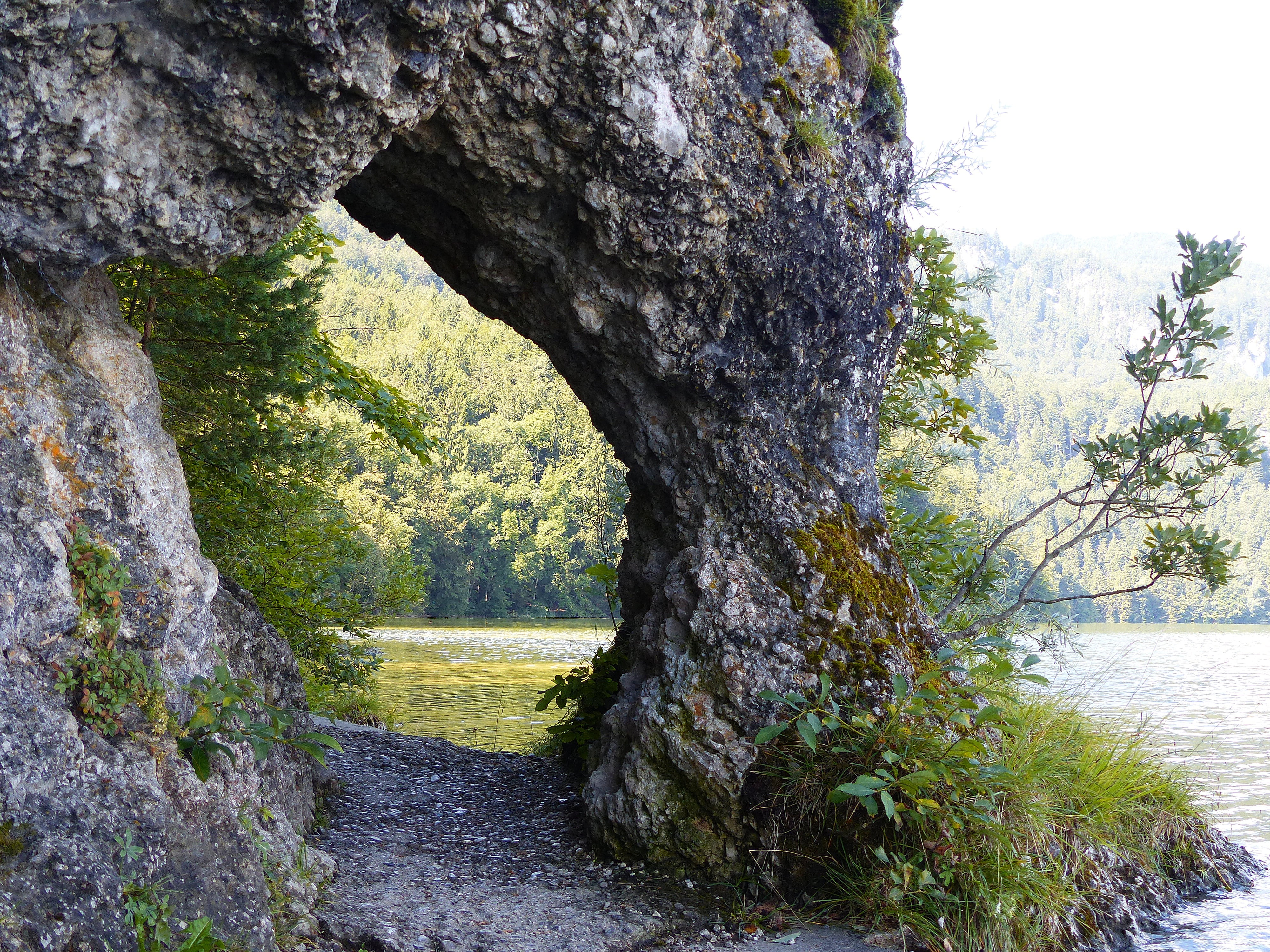 uferweg, no people, lake weissensee, flowing, beauty in nature, growth, rock breakthrough, excursion destination, outdoors, landscape, scenics - nature, HD Wallpaper