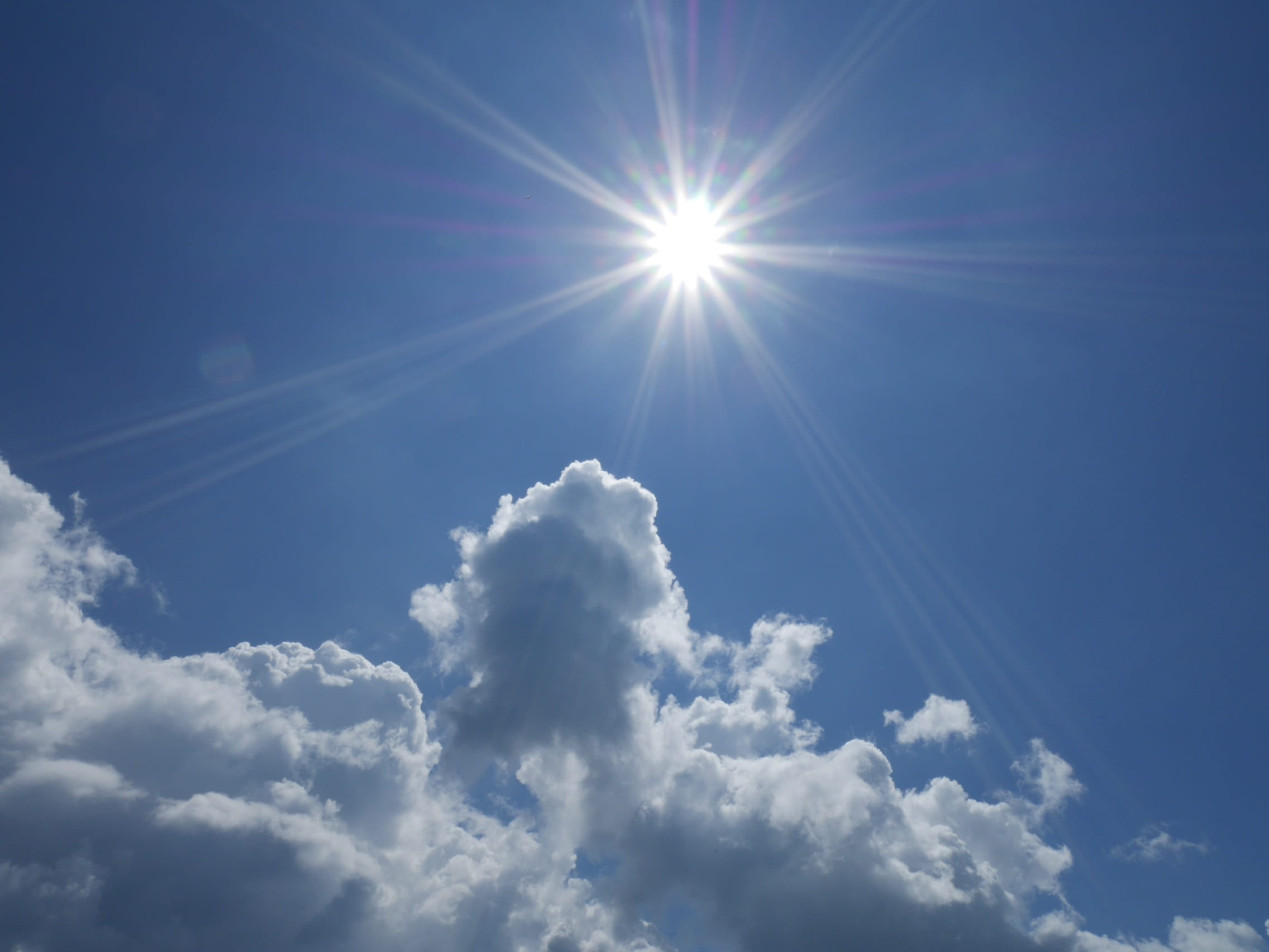 white color, 1080P, blue sky, bright, sun, tranquility, light, lens flare, sky, tranquil scene, cloud - sky, low angle view, nature, sunlight, idyllic, HD Wallpaper