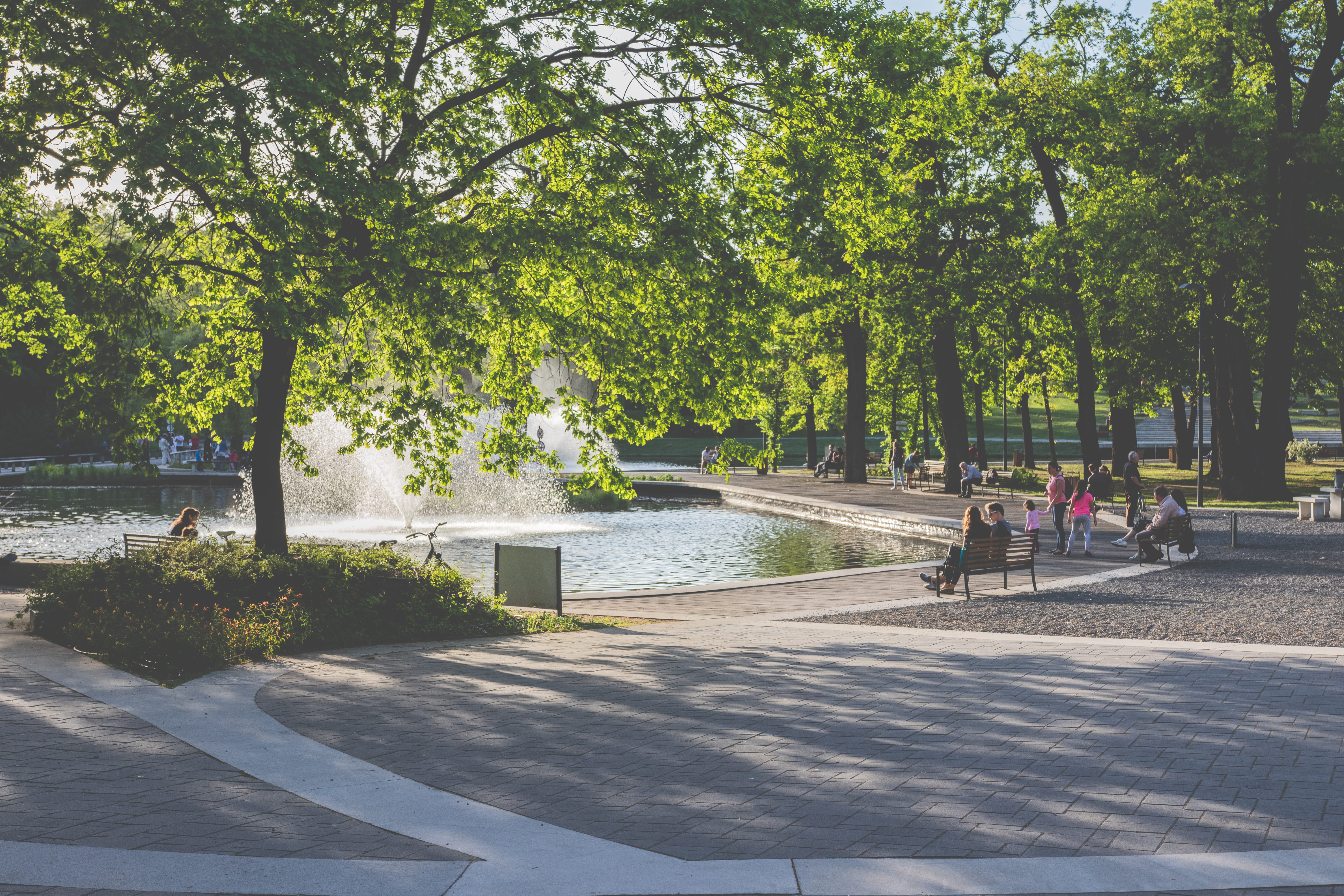 5K, forest, day, europe, nature, noon, sun, plant, people, tree, green color, debrecen, city, incidental people, real people, lifestyle, lake, fountain, HD Wallpaper