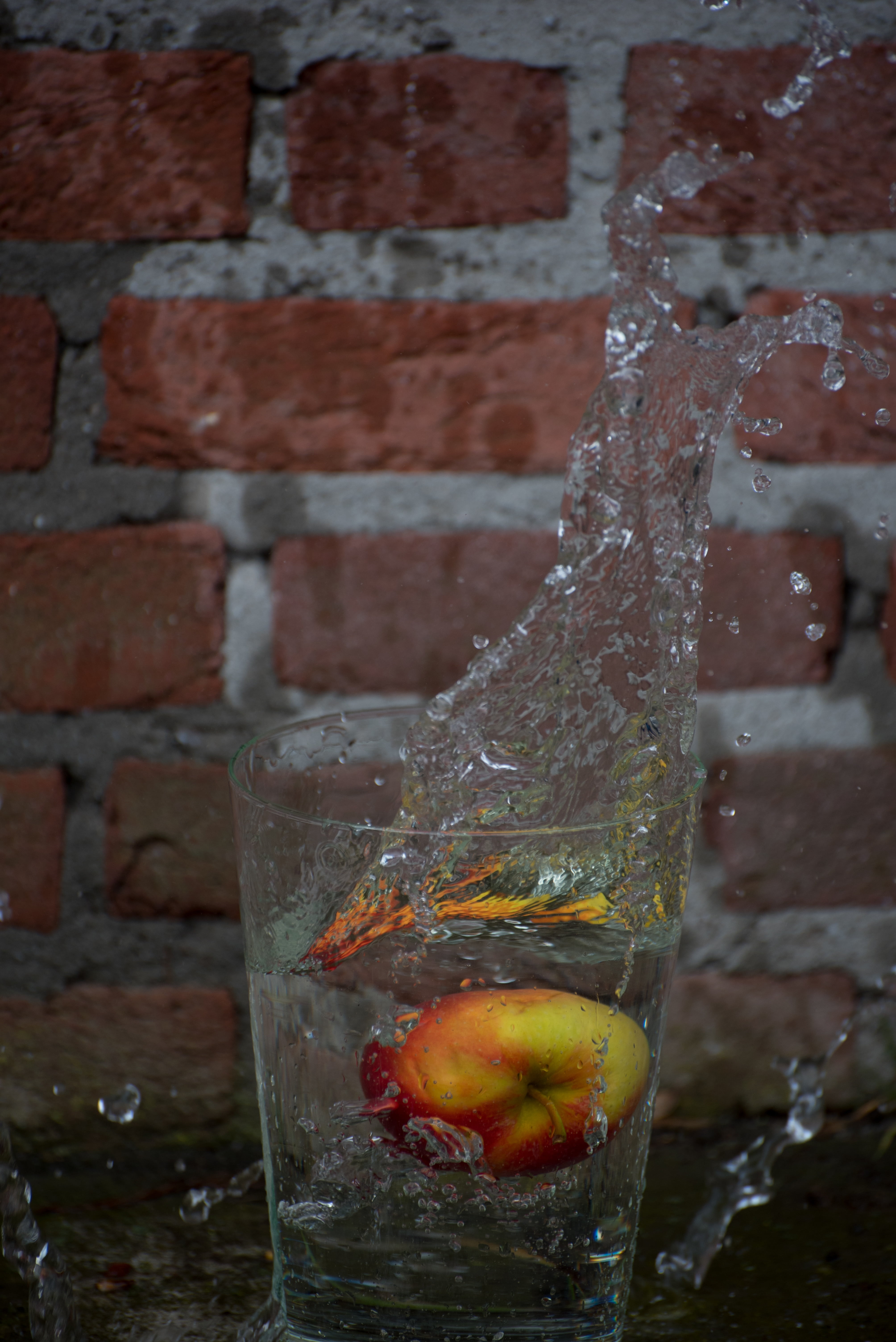 motion, wall, water splashes, close-up, water, wall - building feature, animal themes, brick wall, cold temperature, transparent, built structure, architecture, Phone HD Wallpaper