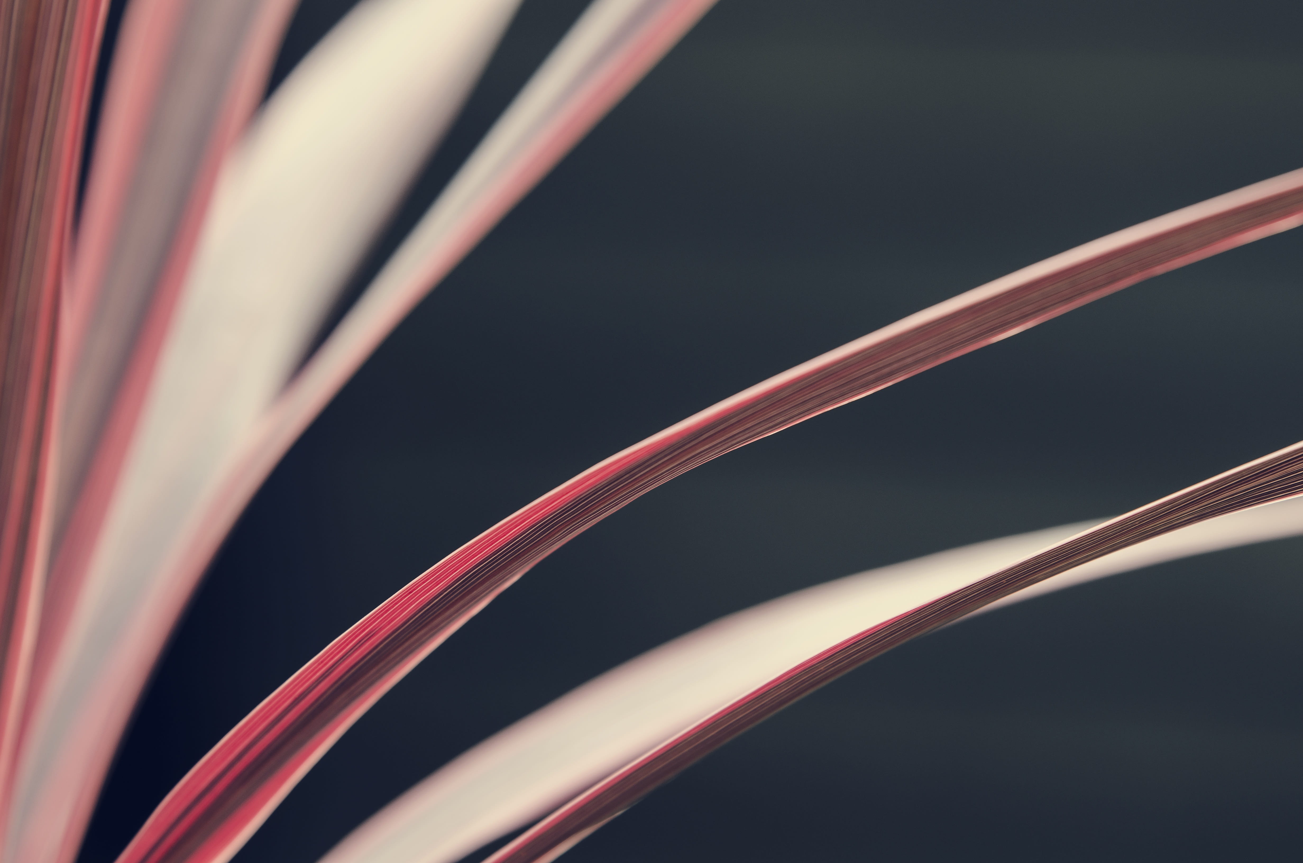 thin, red, motion, sheets, wave pattern, creativity, close-up, 4K, abstract painting, closeup, reading, text, paper, pages, striped, black background, HD Wallpaper