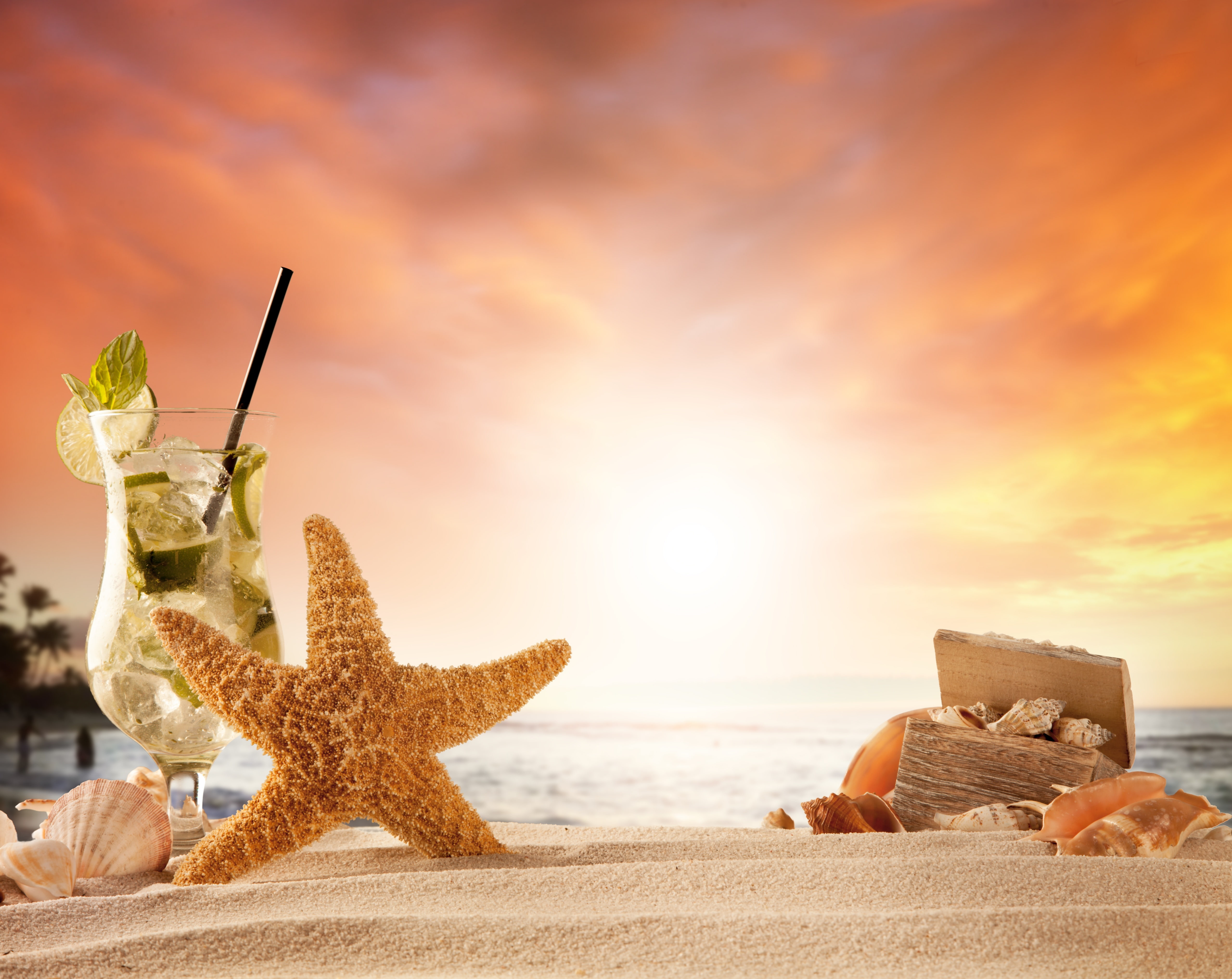Vacation, horizon over water, Relax, Beach, land, sun, shells, Holiday, Sunset, 5K, nature, Seasons, outdoors, drink, sea, Cocktail, seastar, orange color, HD Wallpaper