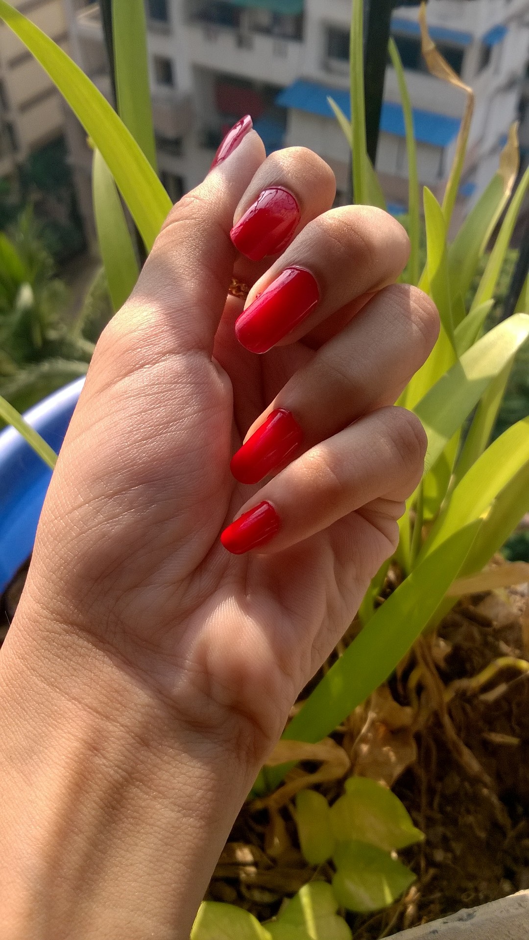 human hand, adult, lifestyles, nail polish, paint, nail, plant, body part, red, design, real people, human body part, leisure activity, 1080P, women, fashion, Phone HD Wallpaper