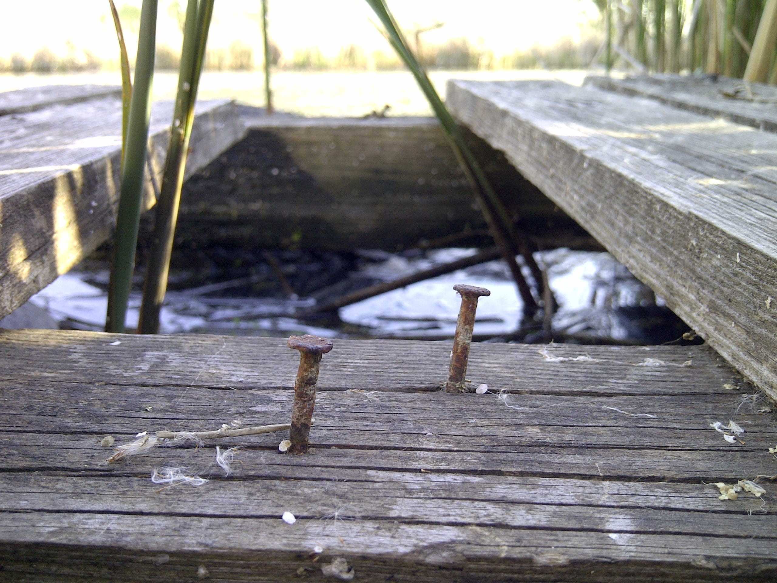 aged, bench, nature, rustic, boards, wooden, old, boundary, high angle view, day, seat, no people, 2K, wood - material, pier, natural, nail, sunlight, HD Wallpaper