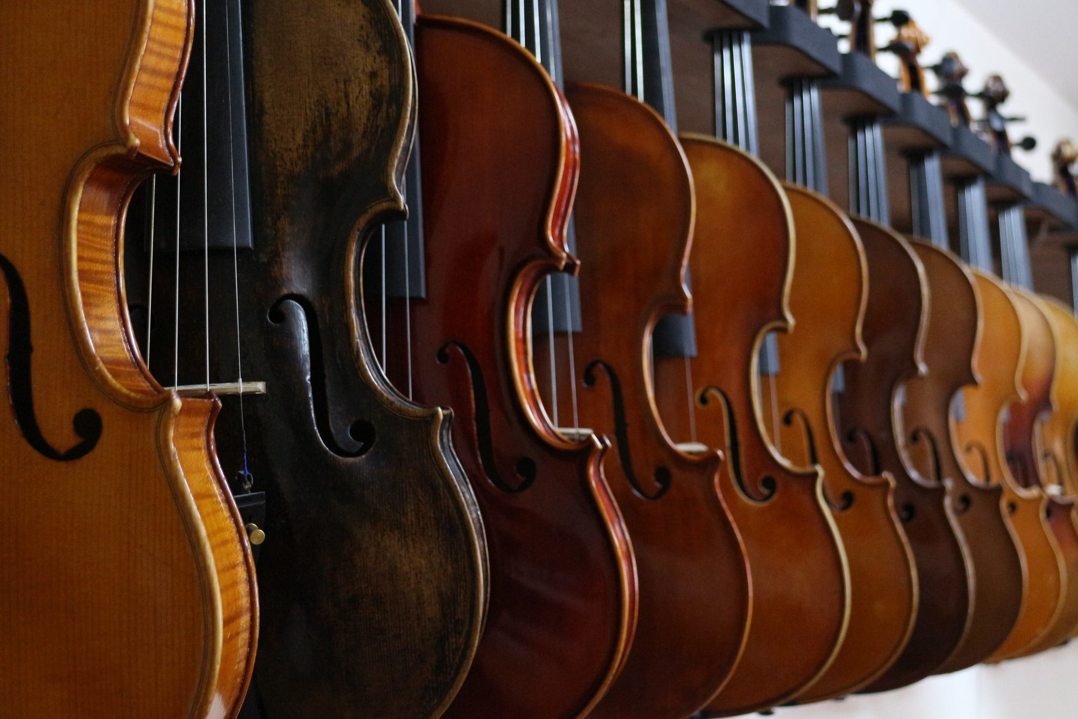 violin, in a row, 1080P, skill, arts culture and entertainment, concerto, wood - material, close-up, music, classical music, lot, brown, string instrument, HD Wallpaper