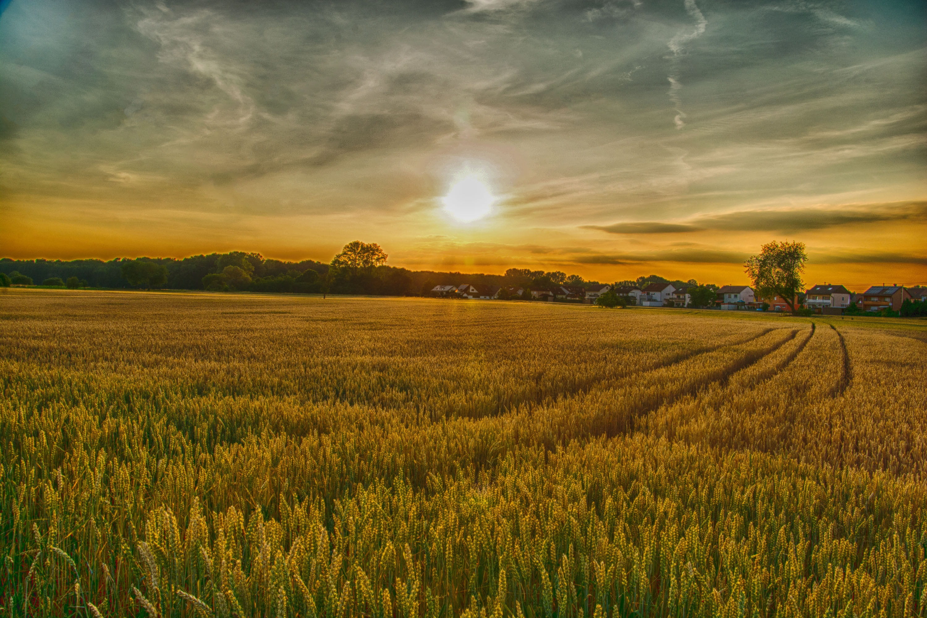 lens flare, schönwetter, plant, village, tranquility, forest path, environment, tractor, cloud, beauty in nature, panorama, nature, evening, land, idyllic, HD Wallpaper