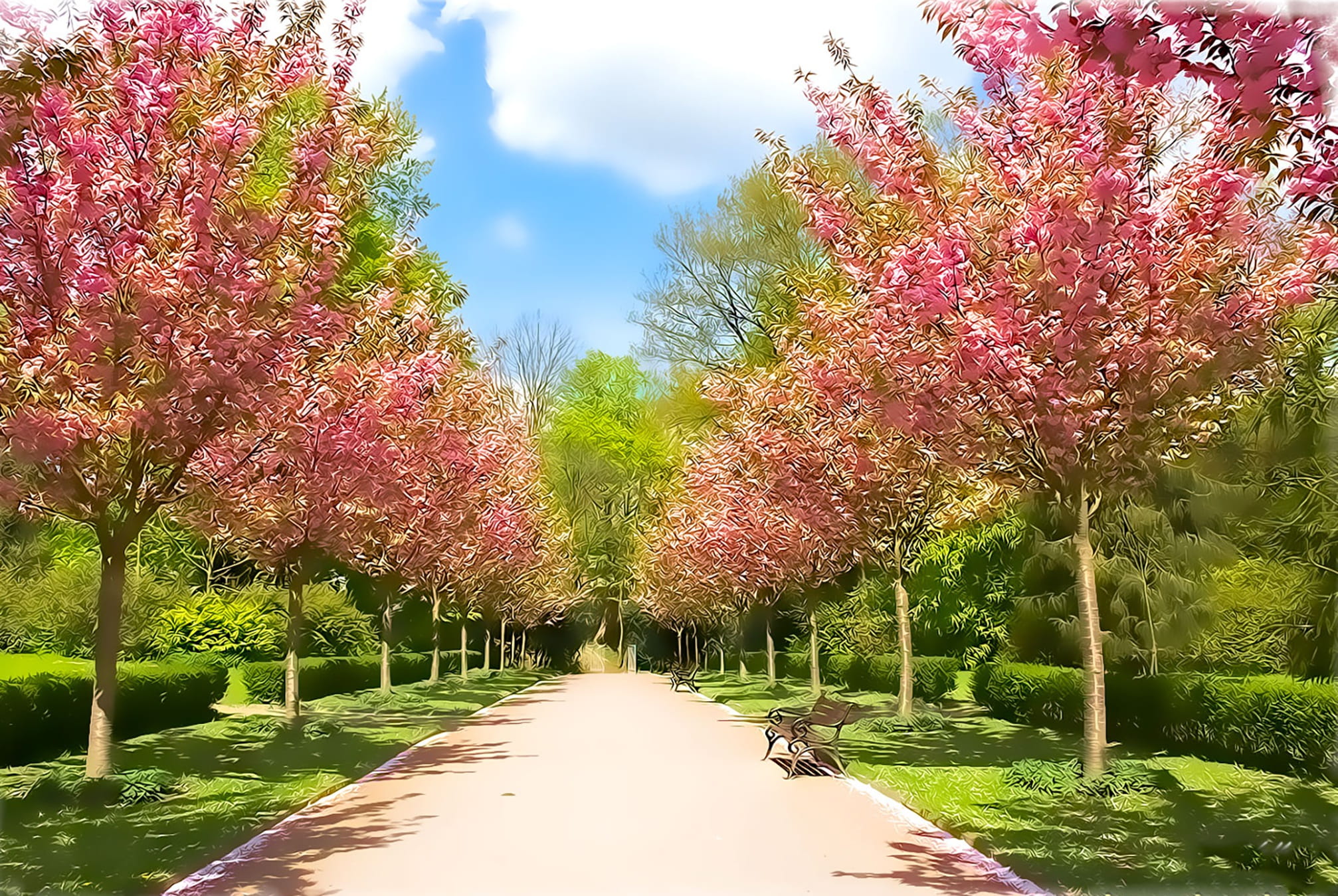pink color, 1080P, landscape, canal, flower, garden, the way forward, diminishing perspective, tranquility, day, water, spring, beauty in nature, summer, HD Wallpaper