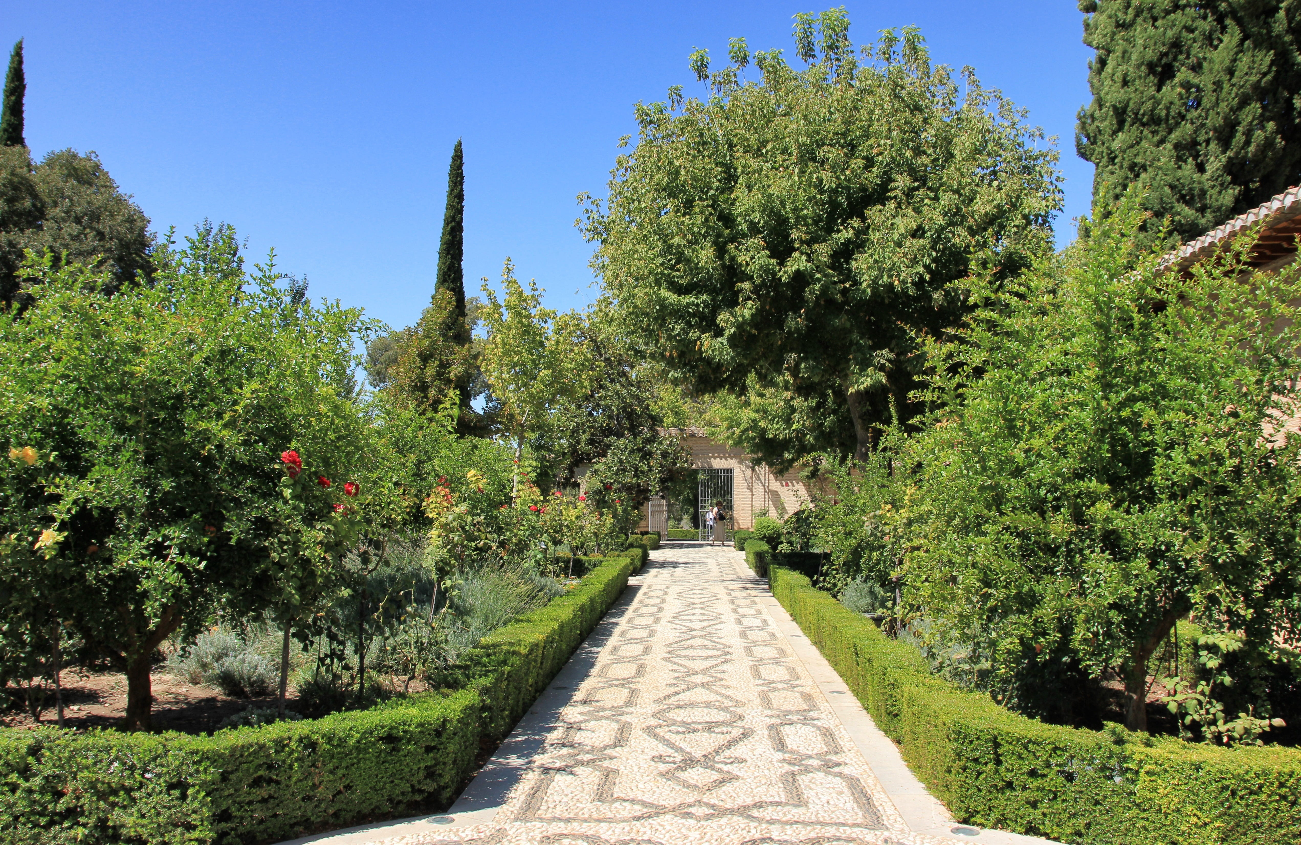 tranquility, beauty in nature, nature, green color, outdoors, sunny, growth, andalusia, the way forward, plant, tree, summer, clear sky, sky, treelined, HD Wallpaper