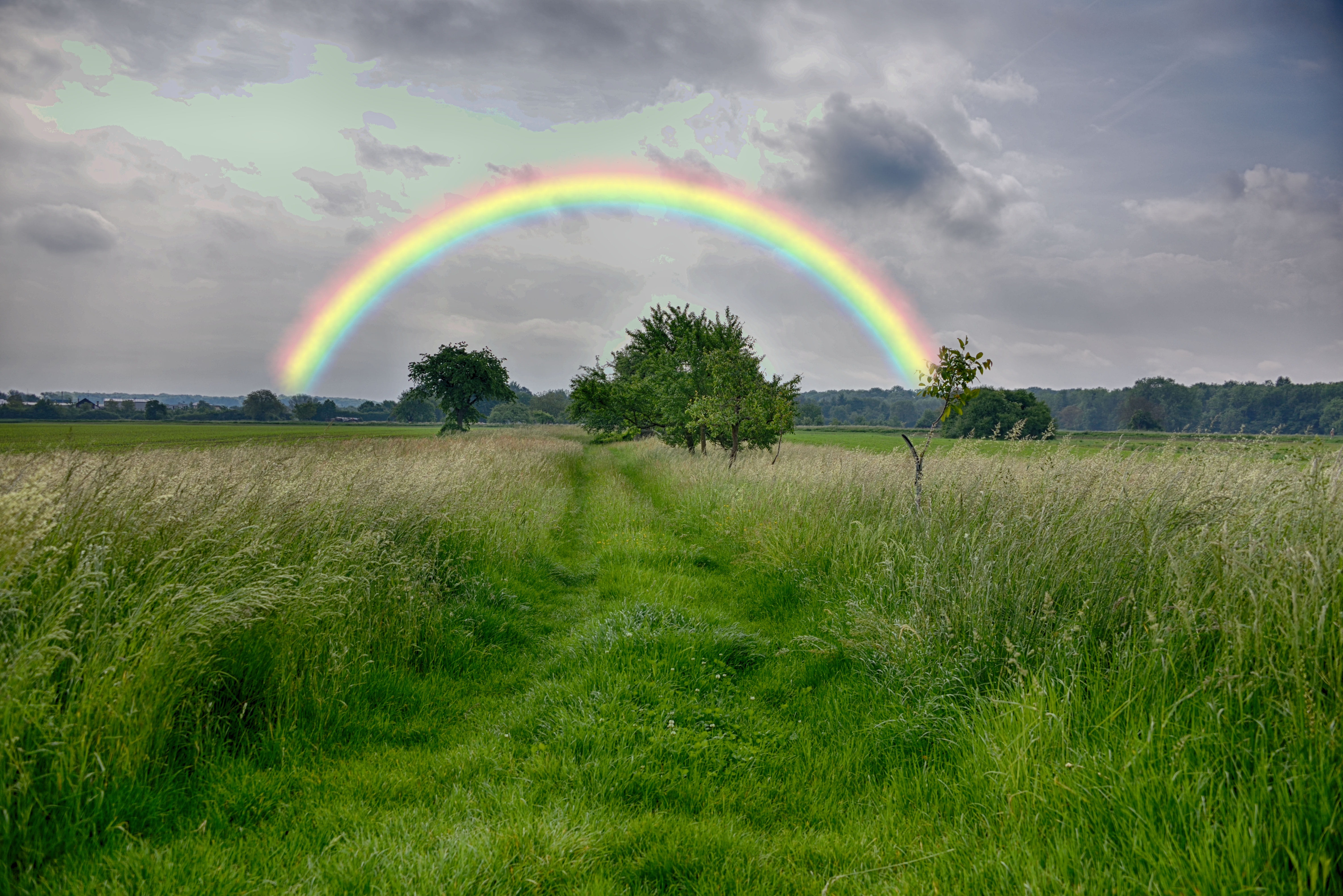 photograph, idyllic, nature, summer, weather, green color, double rainbow, tranquil scene, sky, beauty in nature, land, forest, environment, rural, no people, HD Wallpaper