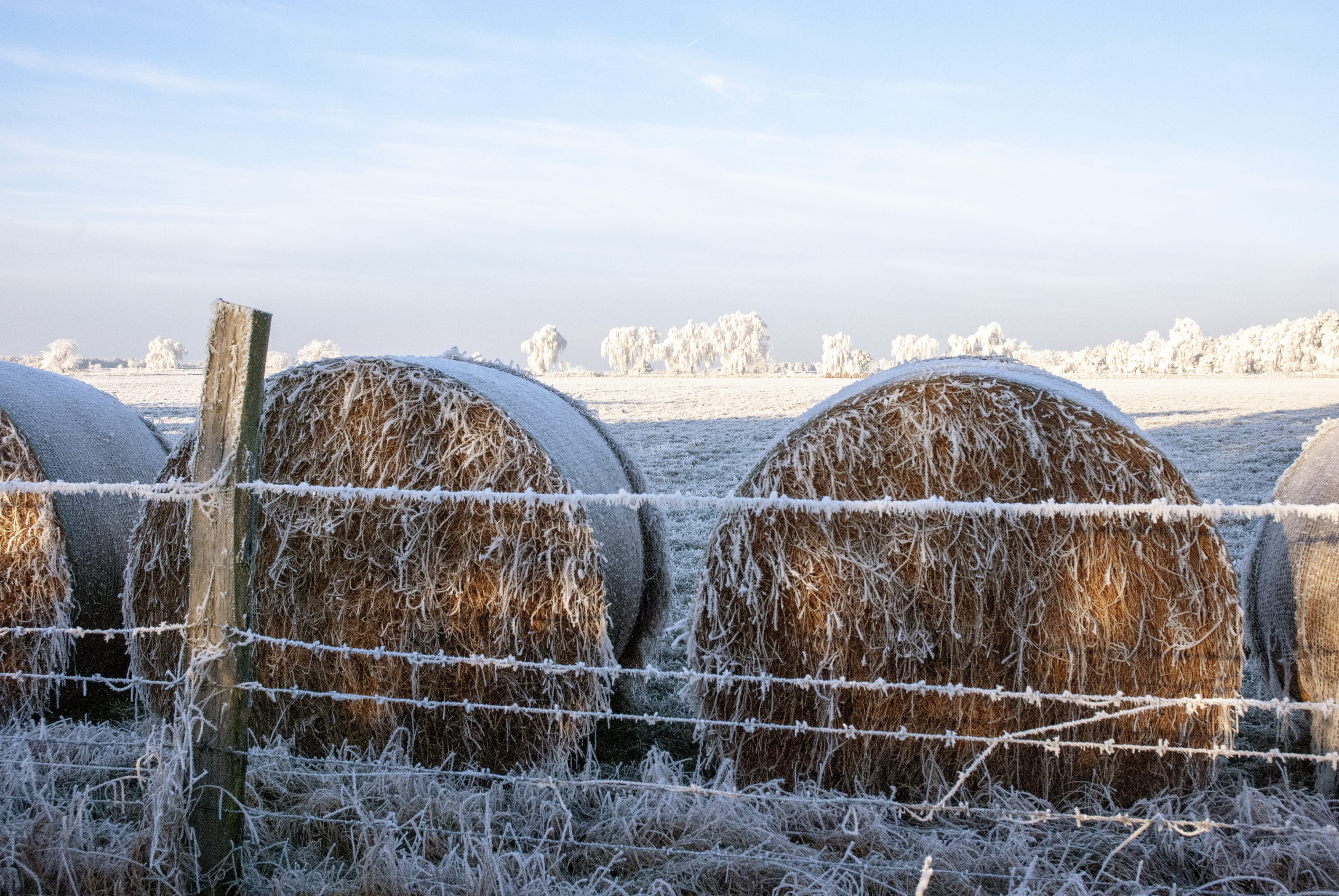 outdoors, no people, agriculture, landscape, field, cold temperature, winter, snow, land, hoarfrost, tranquil scene, straw, hay, 4K, nature, scenics - nature, HD Wallpaper