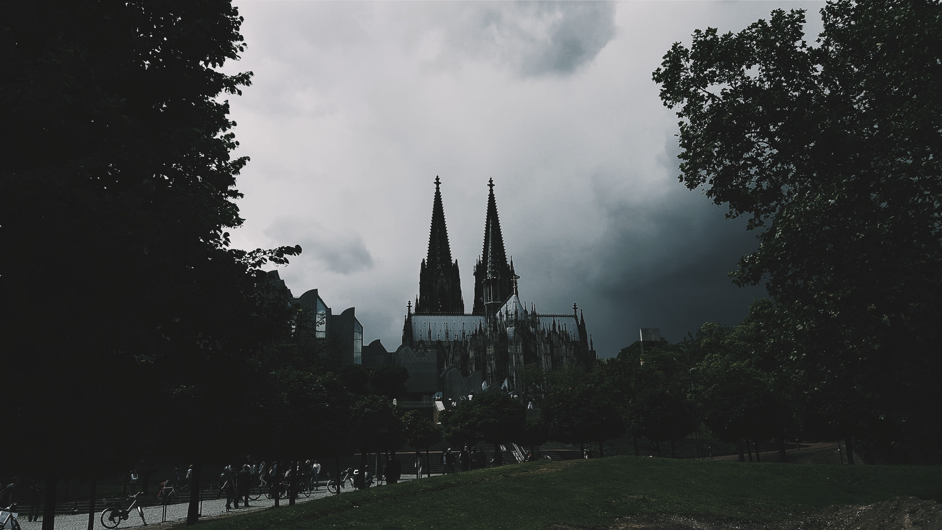 Cologne, outdoors, nature, sky, belief, religion, architecture, low angle view, tree, plant, cloud - sky, 2K, built structure, travel destinations, abbey, HD Wallpaper