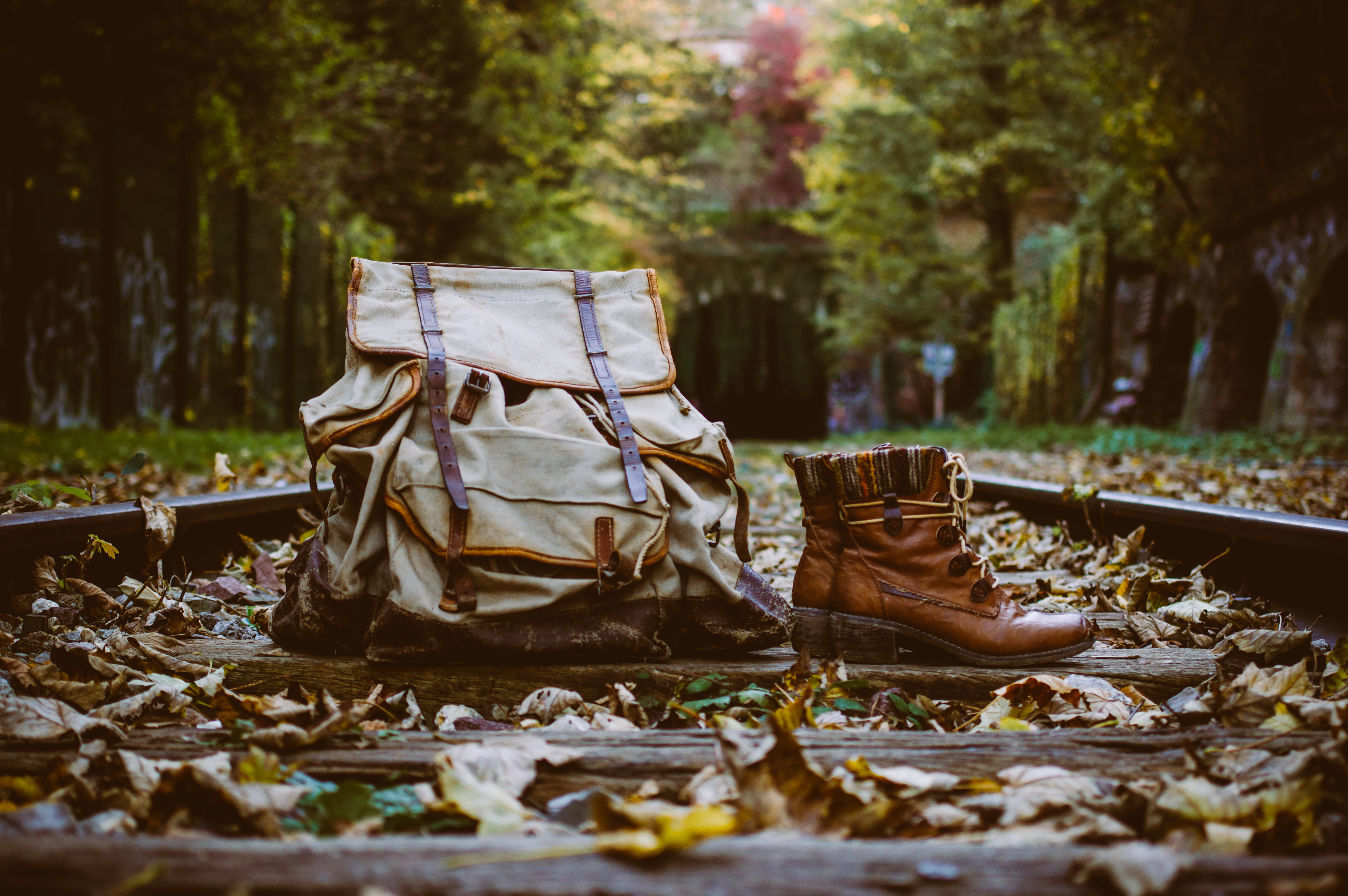 warm, 5K, nature, Pentax K3, forest, autumn  fall, sunset, photography, tunnel, adventure, sun, leaf, brown, outdoors, backpack, railway  track, film, HD Wallpaper