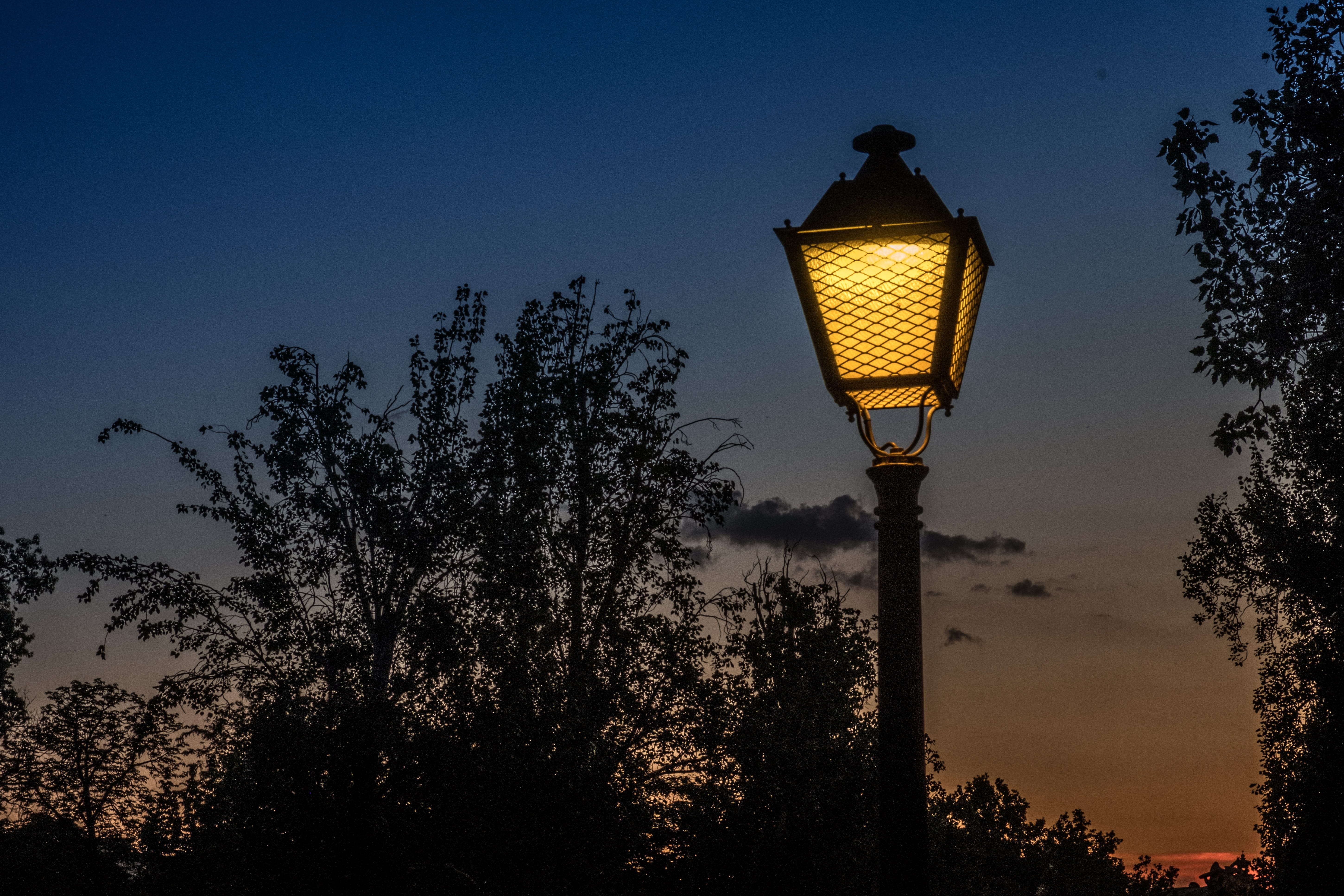 outdoors, sky, Street Lamp, lighting, low angle view, photography, city, nature, street, blue, electric lamp, night, lights, illuminated, tranquil scene, HD Wallpaper