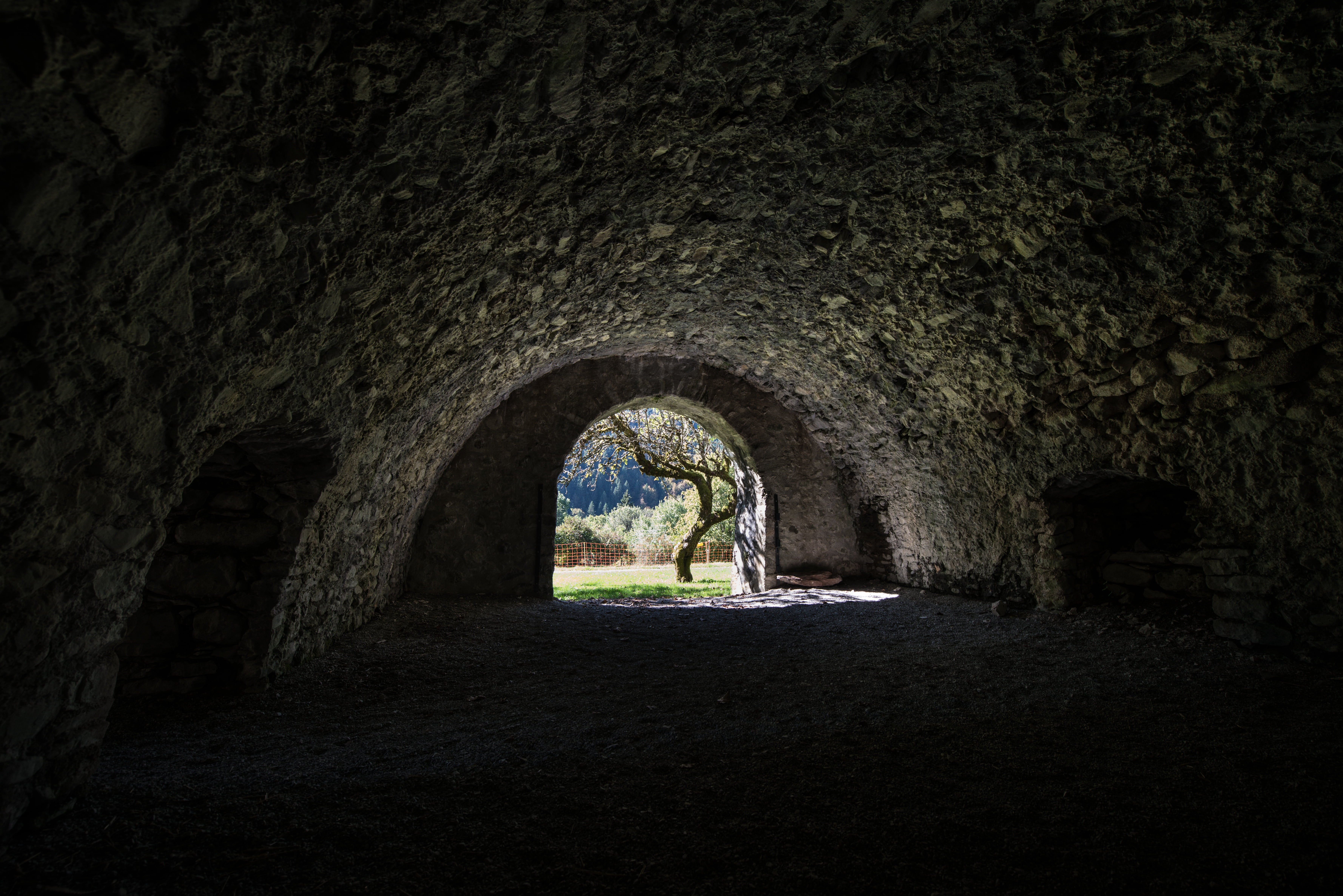 grey, horror, nature, tunnel, tree, entrance, wall - building feature, the way forward, empty, built structure, indoors, structure, 5K, dark, day, light at the end of the tunnel, HD Wallpaper