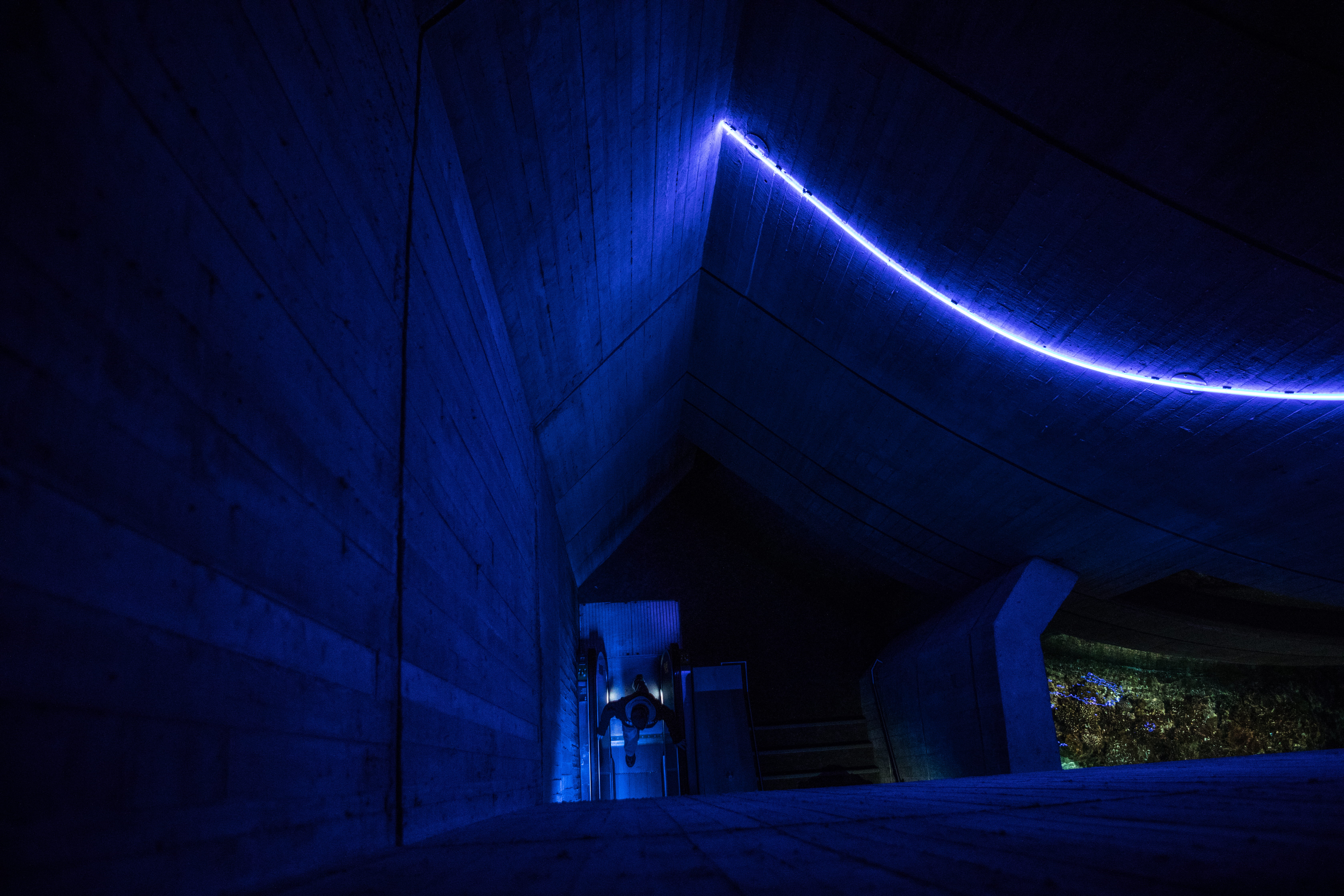 horror, light, wall - building feature, night, architecture, ominous, structure, dark blue, spooky, concrete, lighting equipment, one person, wall, silhouette, HD Wallpaper