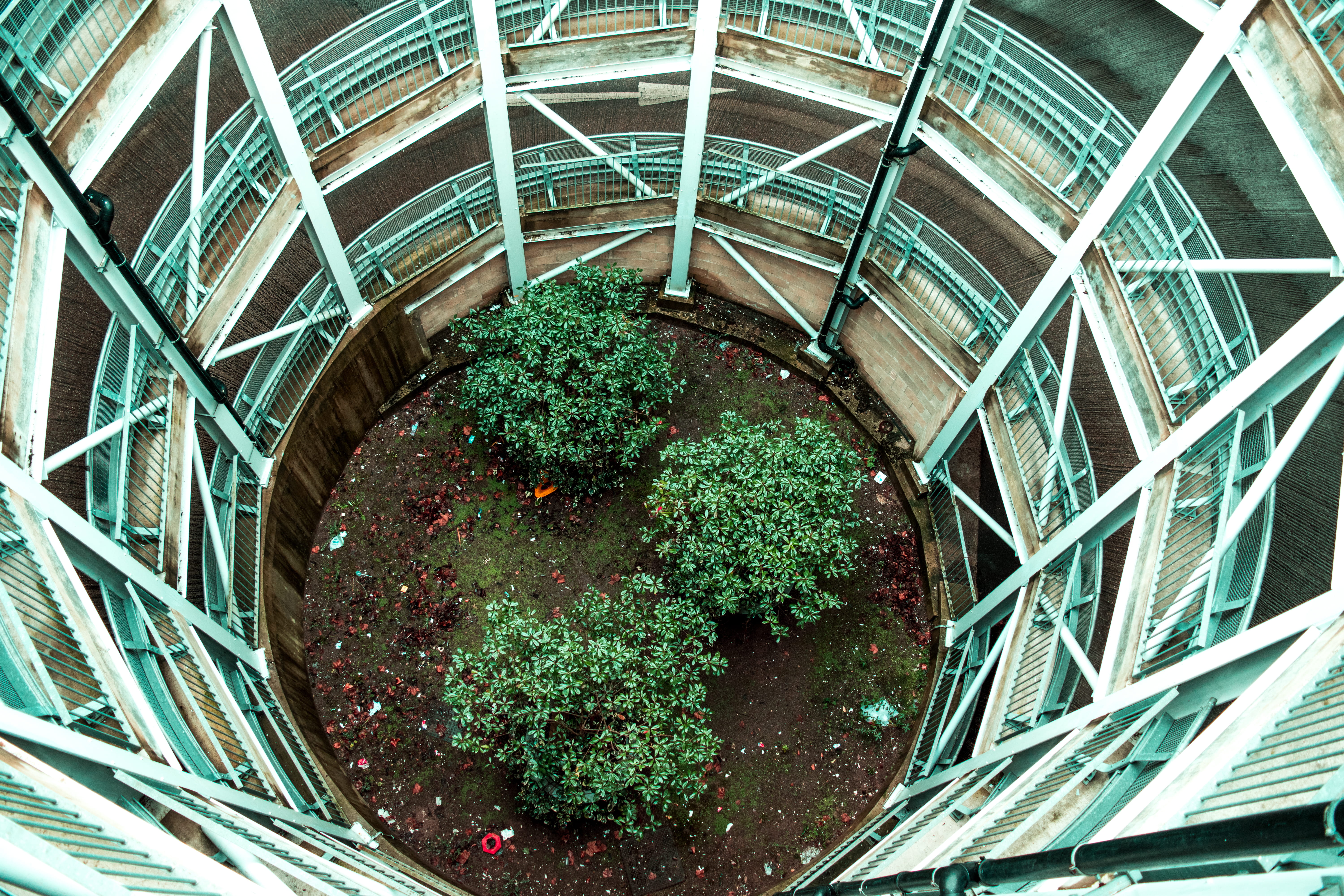indoors, grass, greenhouse, white, built structure, city, no people, structure, nature, plant, birds eye, circle, geometric shape, potted plant, metal, HD Wallpaper