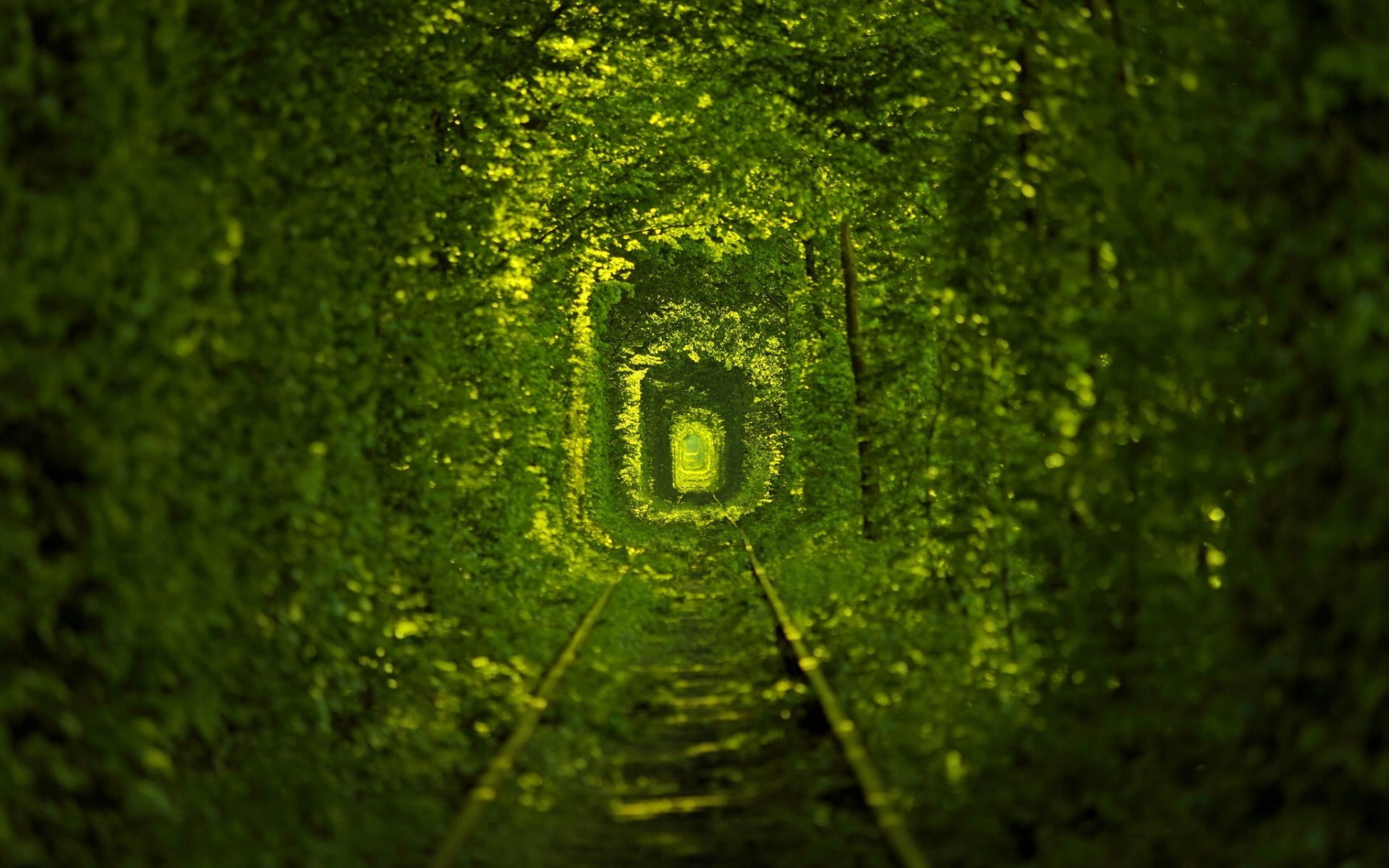 tunnel, green, 1080P, trees, leaves, railway, nature, HD Wallpaper