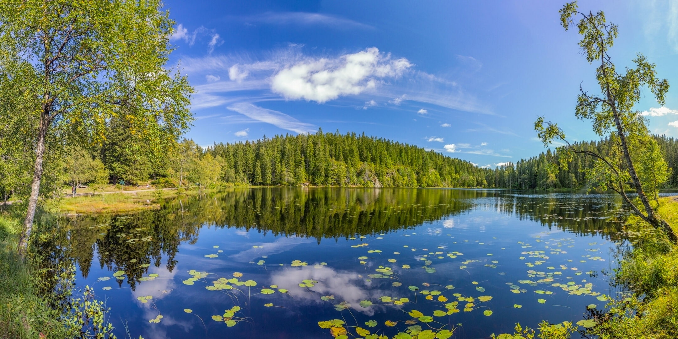 trees, forest, Norway, summer, Oslo County, Skjennungen Lake, 1080P, reflection, lake, HD Wallpaper