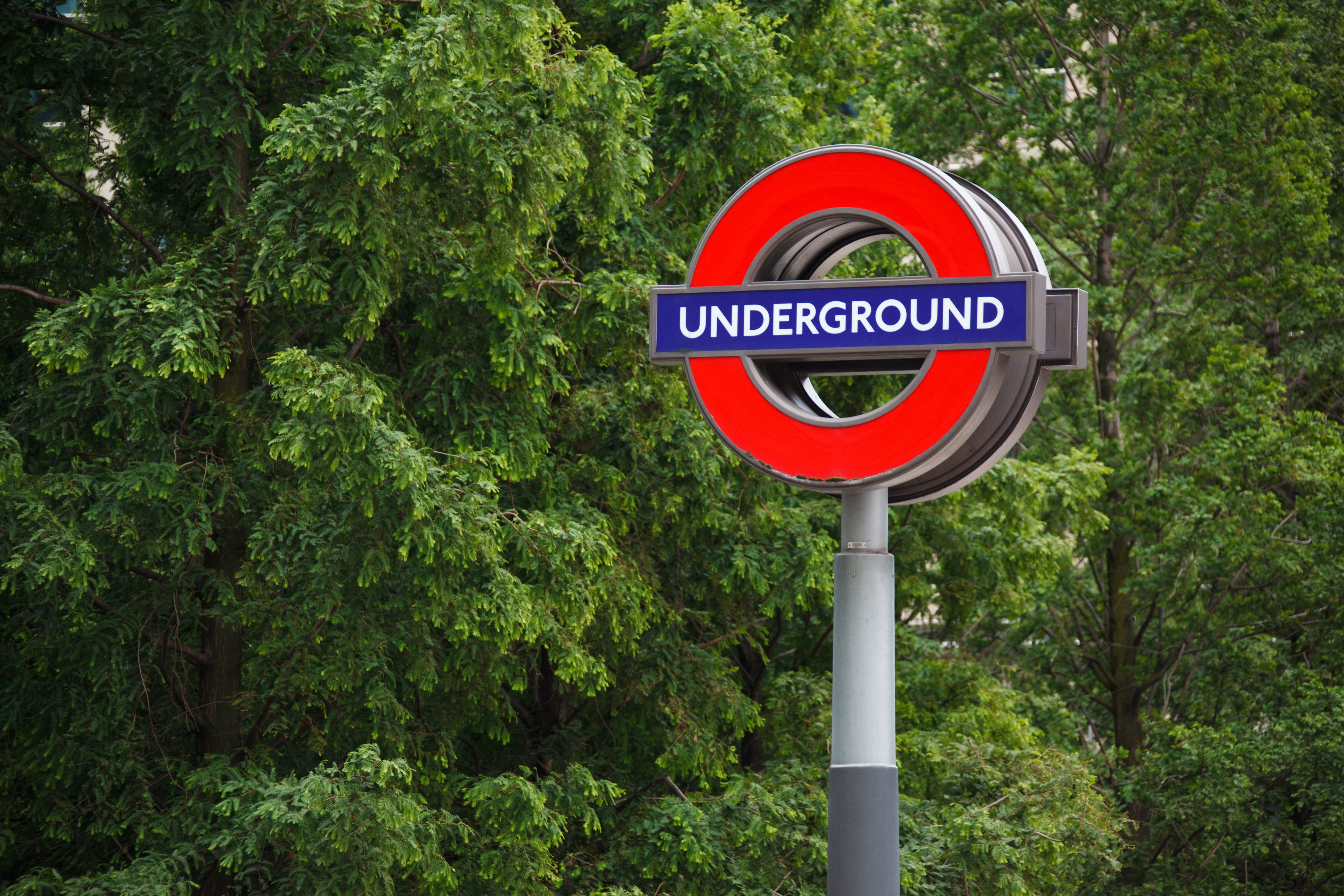City, 4K, sign, road sign, outdoors, growth, pole, Metro, symbol, green color, travel, metro, london, station, urban, transportation, Britain, England, HD Wallpaper