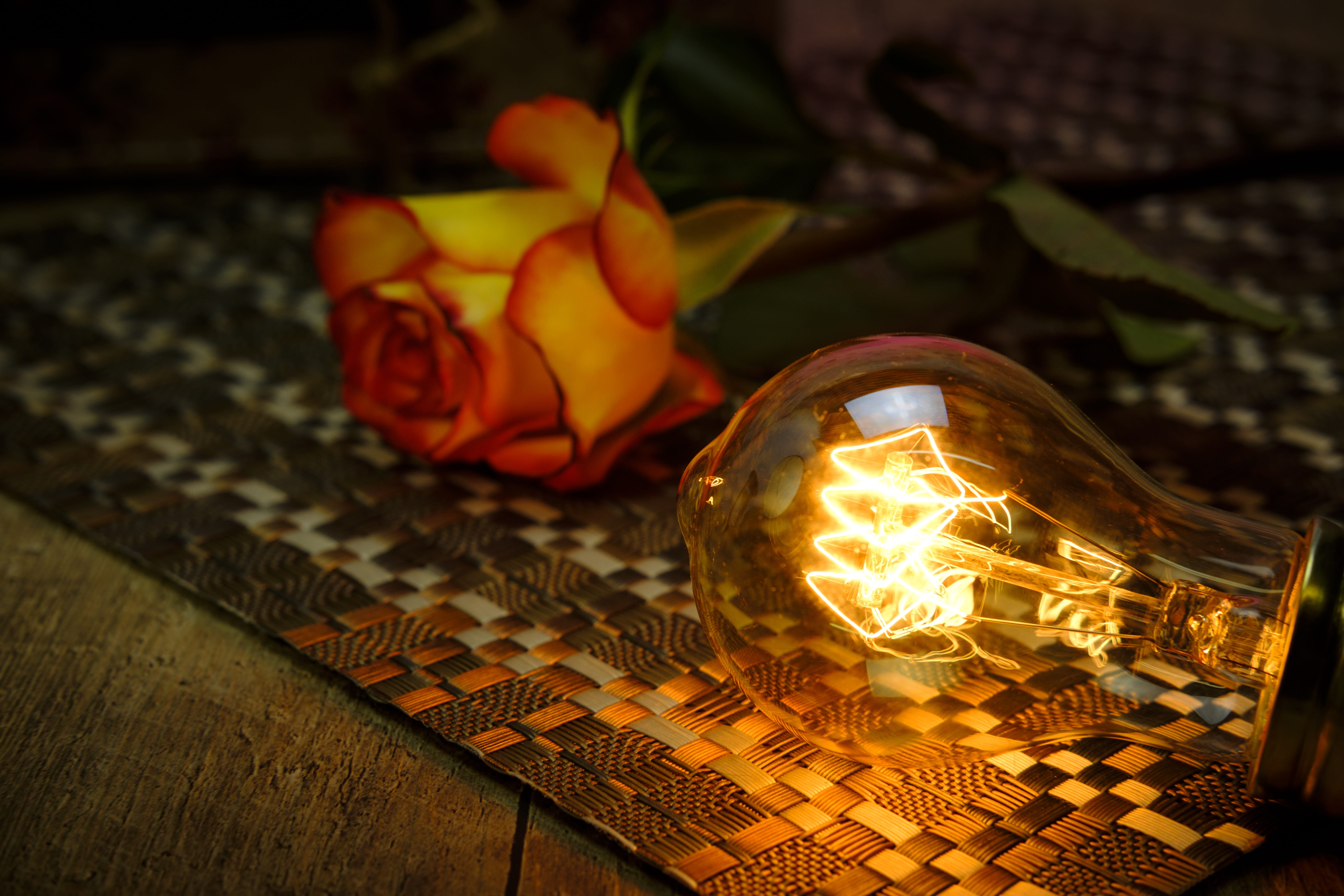 electric lamp, wood - material, decoration, spiral, lighting equipment, no people, close-up, night, nature, love, rose, romance, bloom, electricity, burning, HD Wallpaper