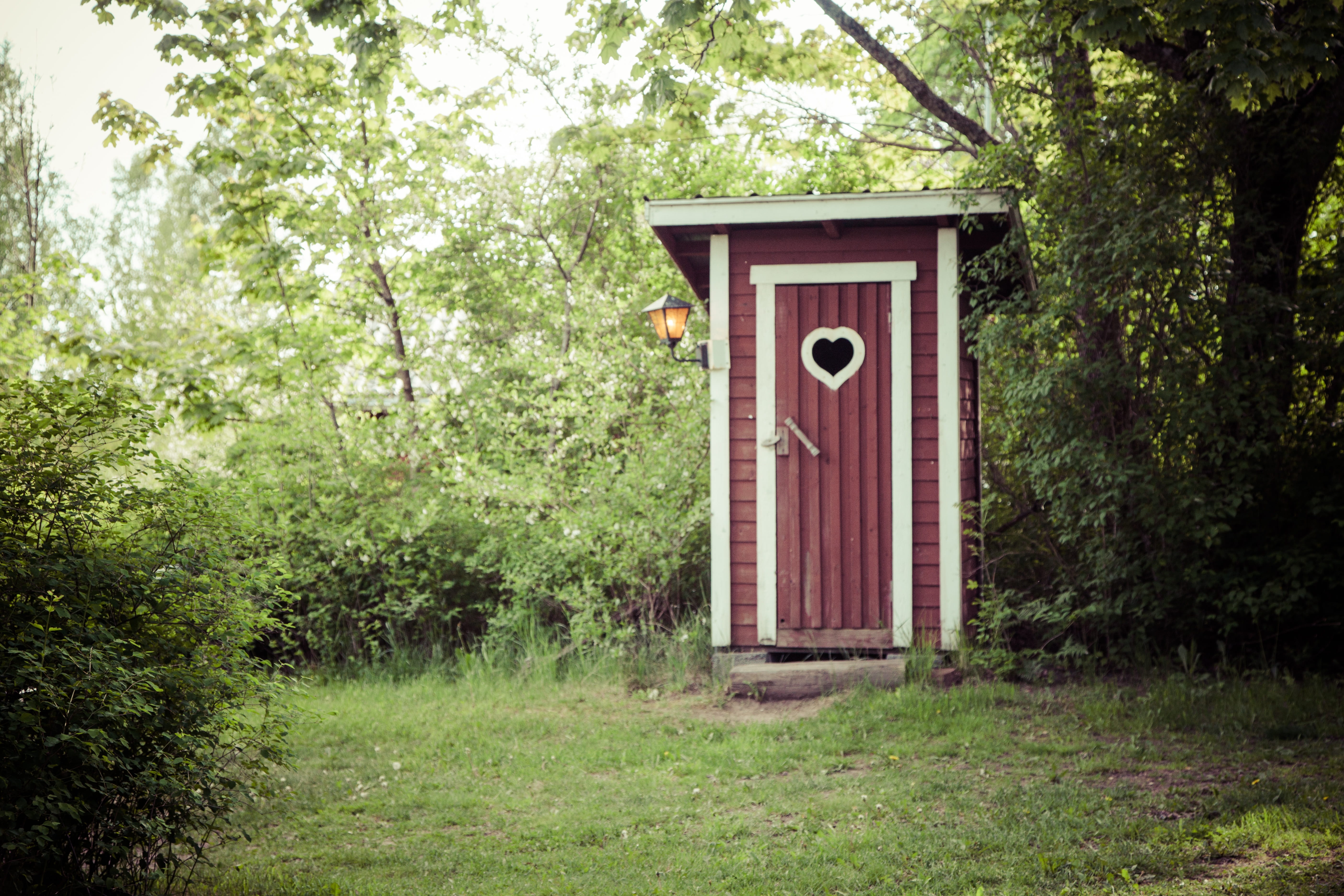 outdoors, architecture, land, entrance, forest, lavatory, old, green, farm, outdoor, plant, built structure, green color, tree, dry, hygiene, no people, HD Wallpaper