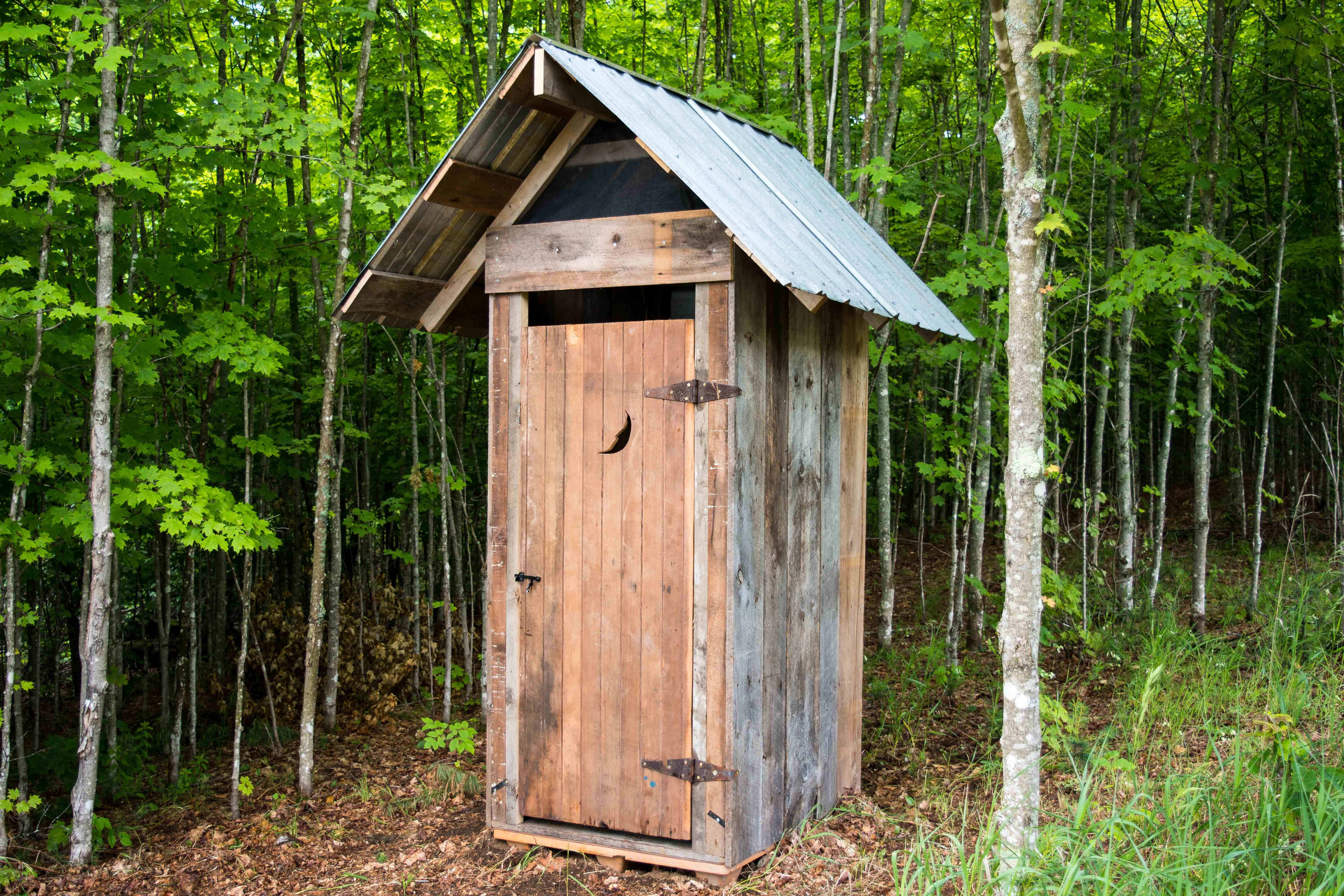 woodland, country, privy, toilet, cabin, forest, house, remote, nature, plant, no people, sanitation, green color, day, bathroom, outhouse, camping, tree, HD Wallpaper