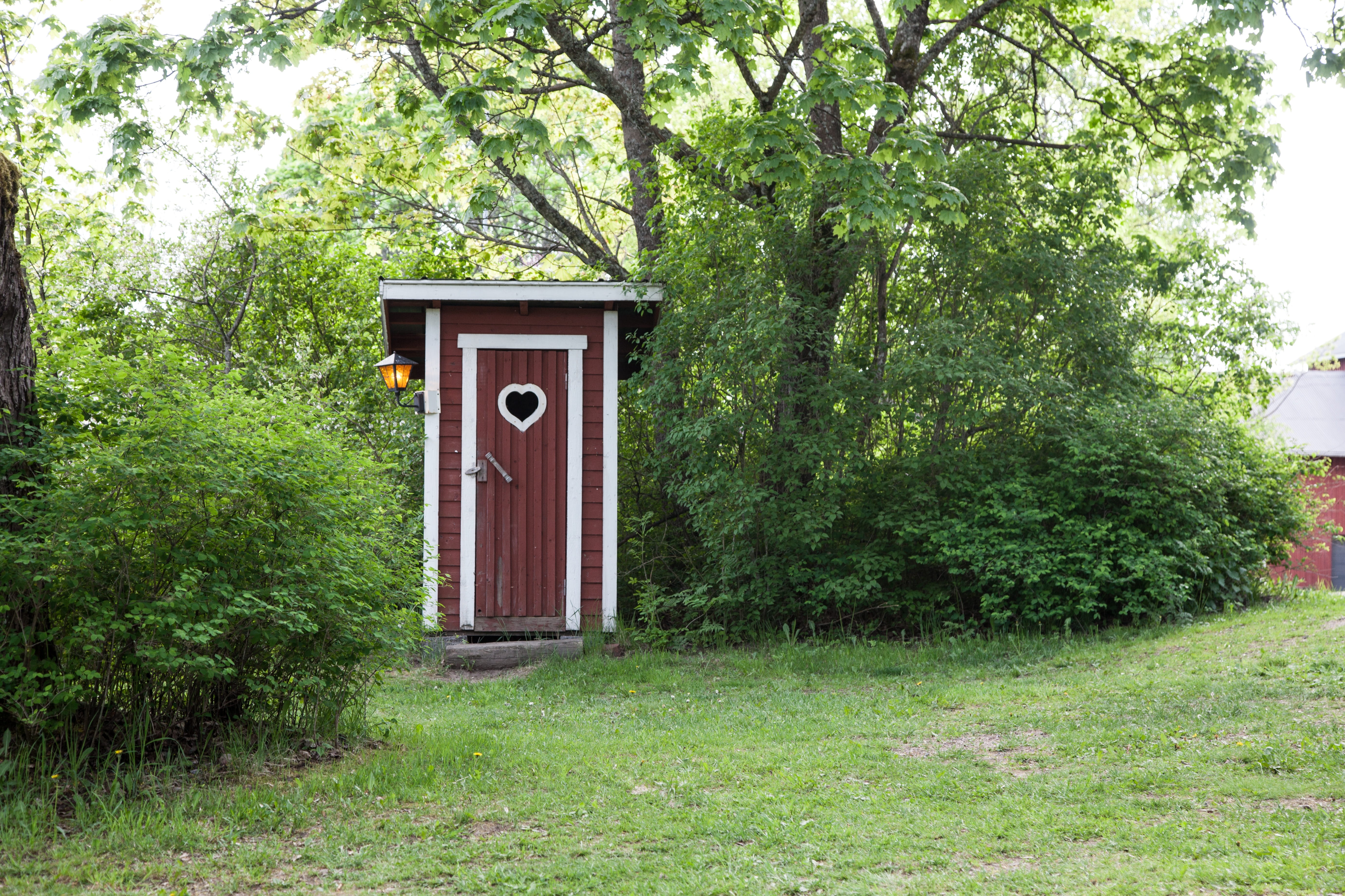 land, vintage, poop, tree, room, closed, 5K, plant, outdoors, green color, structure, rustic, forest, rural, old, wc, retro, antique, grass, Dry Toilet, HD Wallpaper