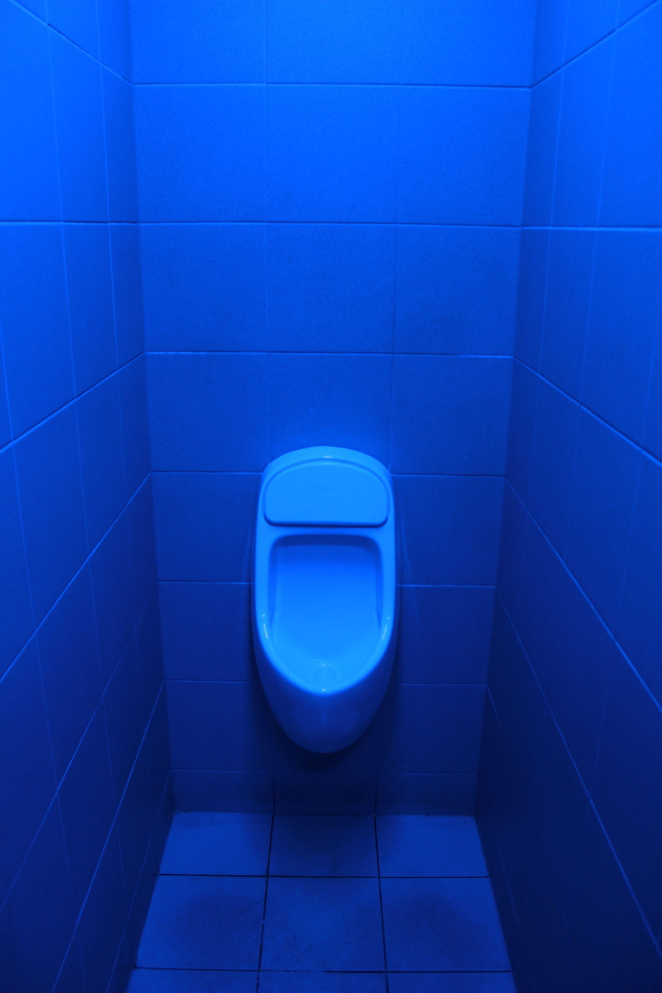 clean, tiles, 1080P, home, background, flushing toilet, flooring, water room, indoors, no people, domestic room, latrines, blue oil, domestic bathroom, Phone HD Wallpaper