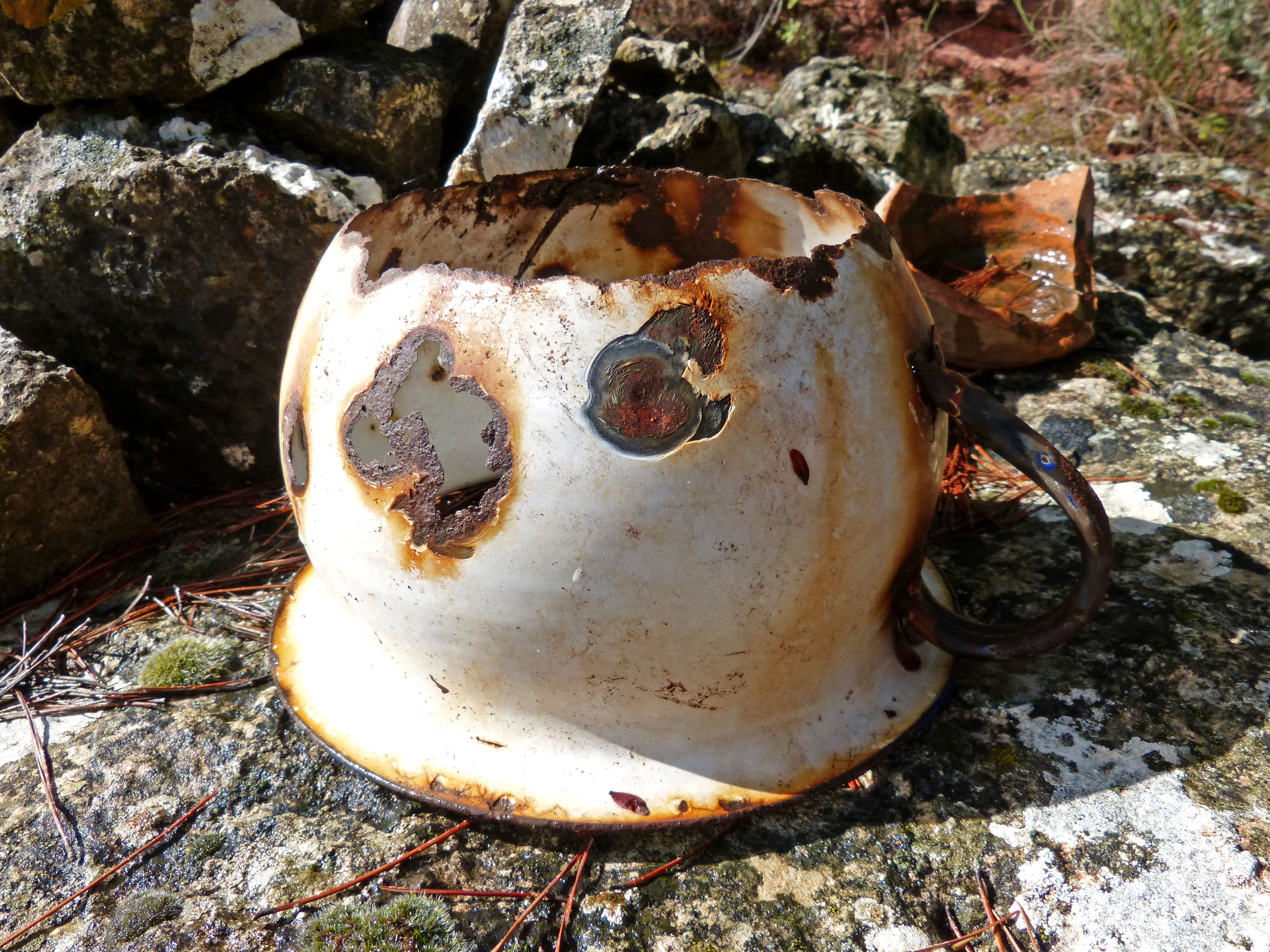 animal, Old, no people, nature, still life, bone, metal, animal skull, land, field, 4K, solid, Urinal, day, rock, high angle view, rusty, rock - object, HD Wallpaper