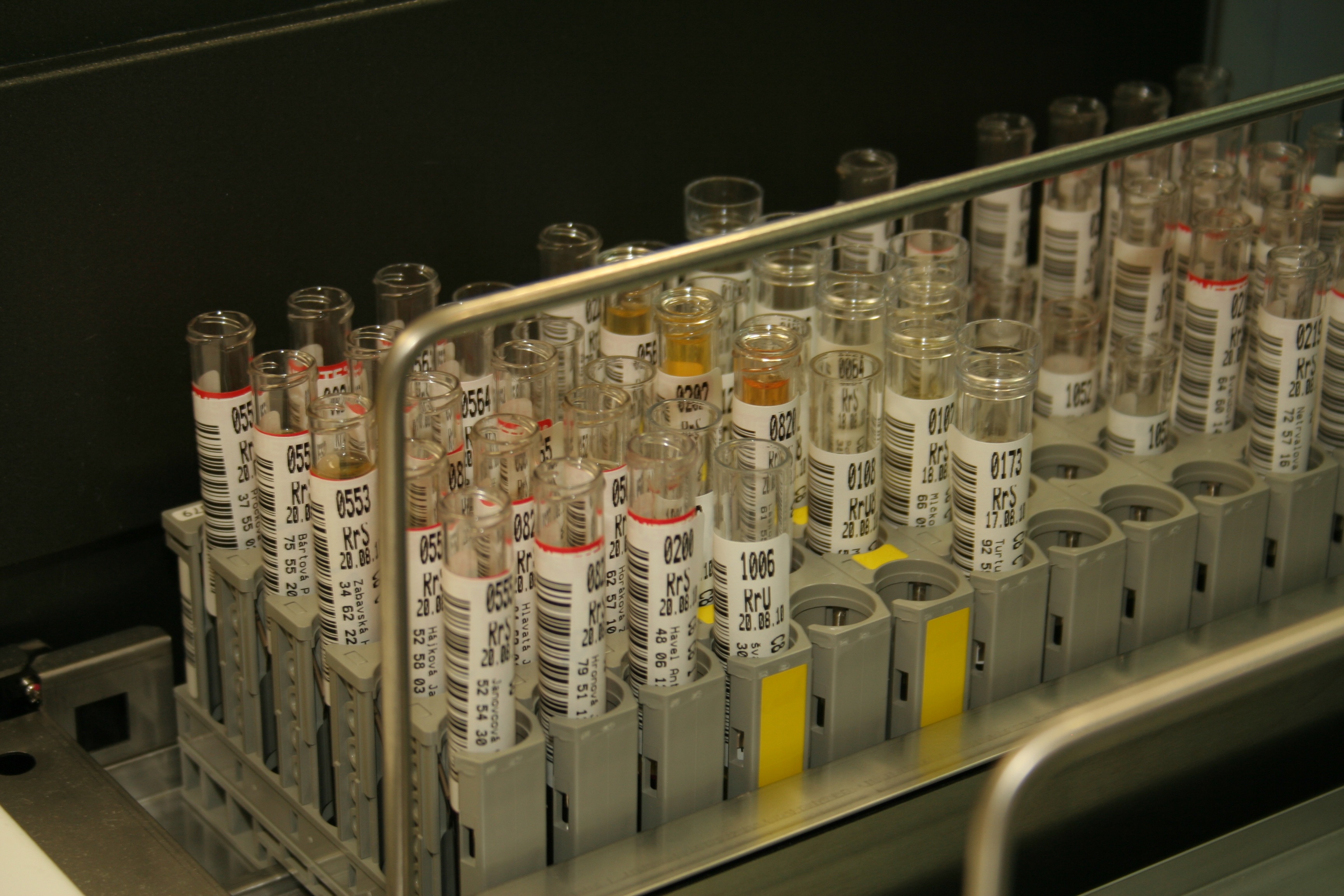large group of objects, research, side by side, blood, repetition, 2K, rack, arrangement, in a row, lab, urine, technology, abundance, equipment, vial, HD Wallpaper