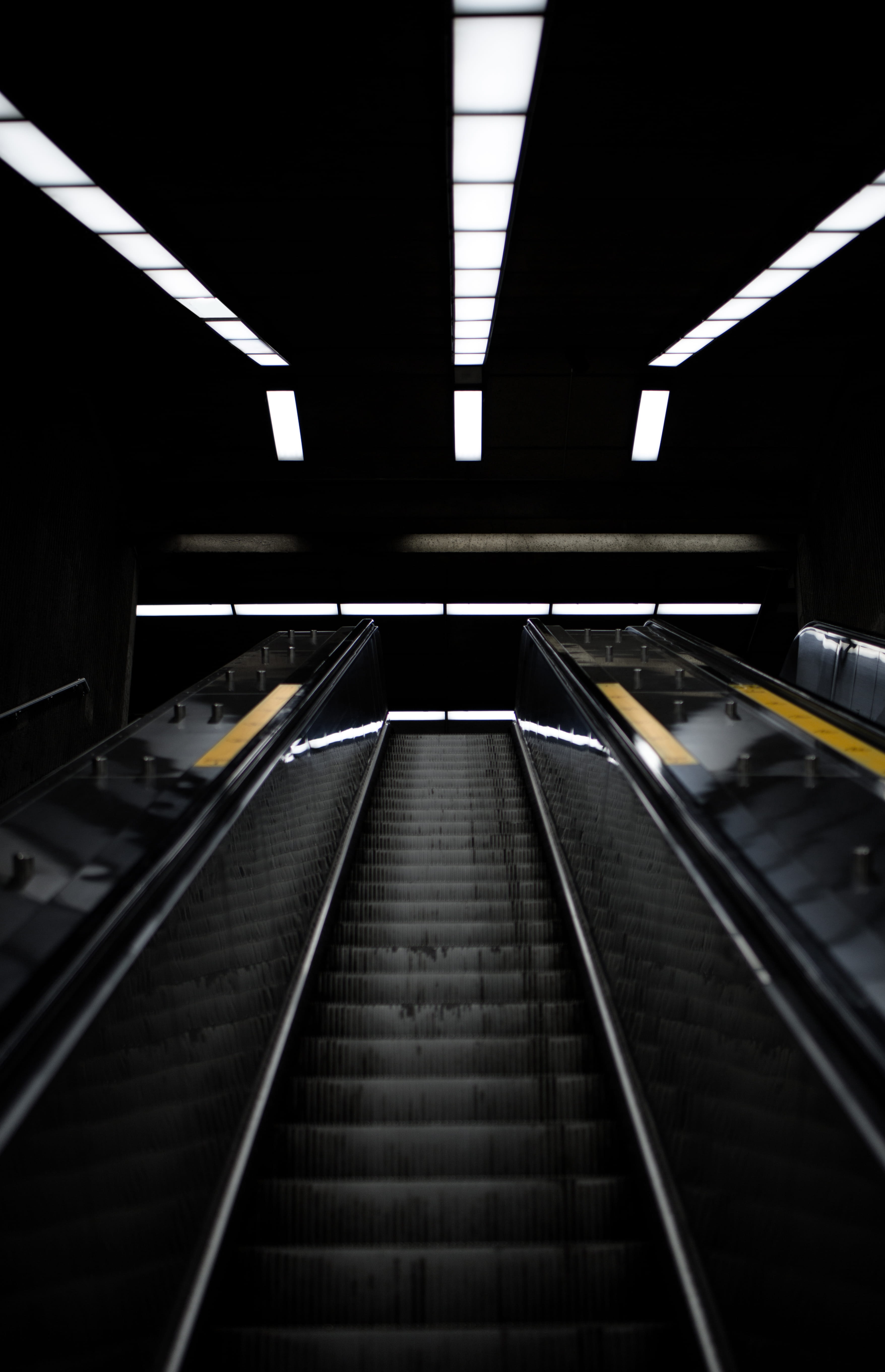 steps, human, travel, cloud, escalator, vanishing Point, flower, metal, interior, design, business, 5K, evening, back, friend, modern design, night, technology, Phone HD Wallpaper