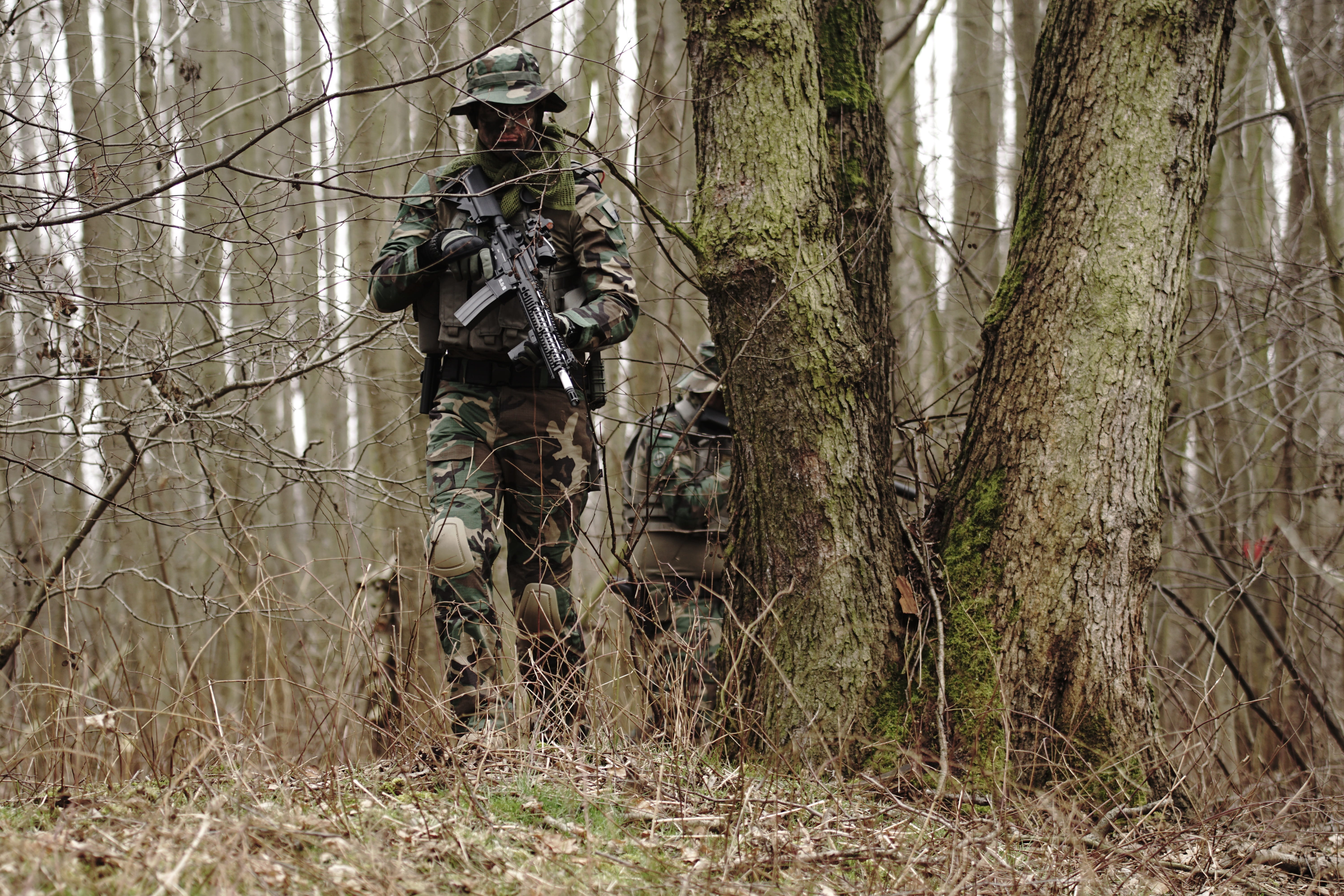 land, specna, government, the army, army soldier, officer, special forces, people, military, real people, equipment, team, tree, commando, replica, specnaarms, HD Wallpaper