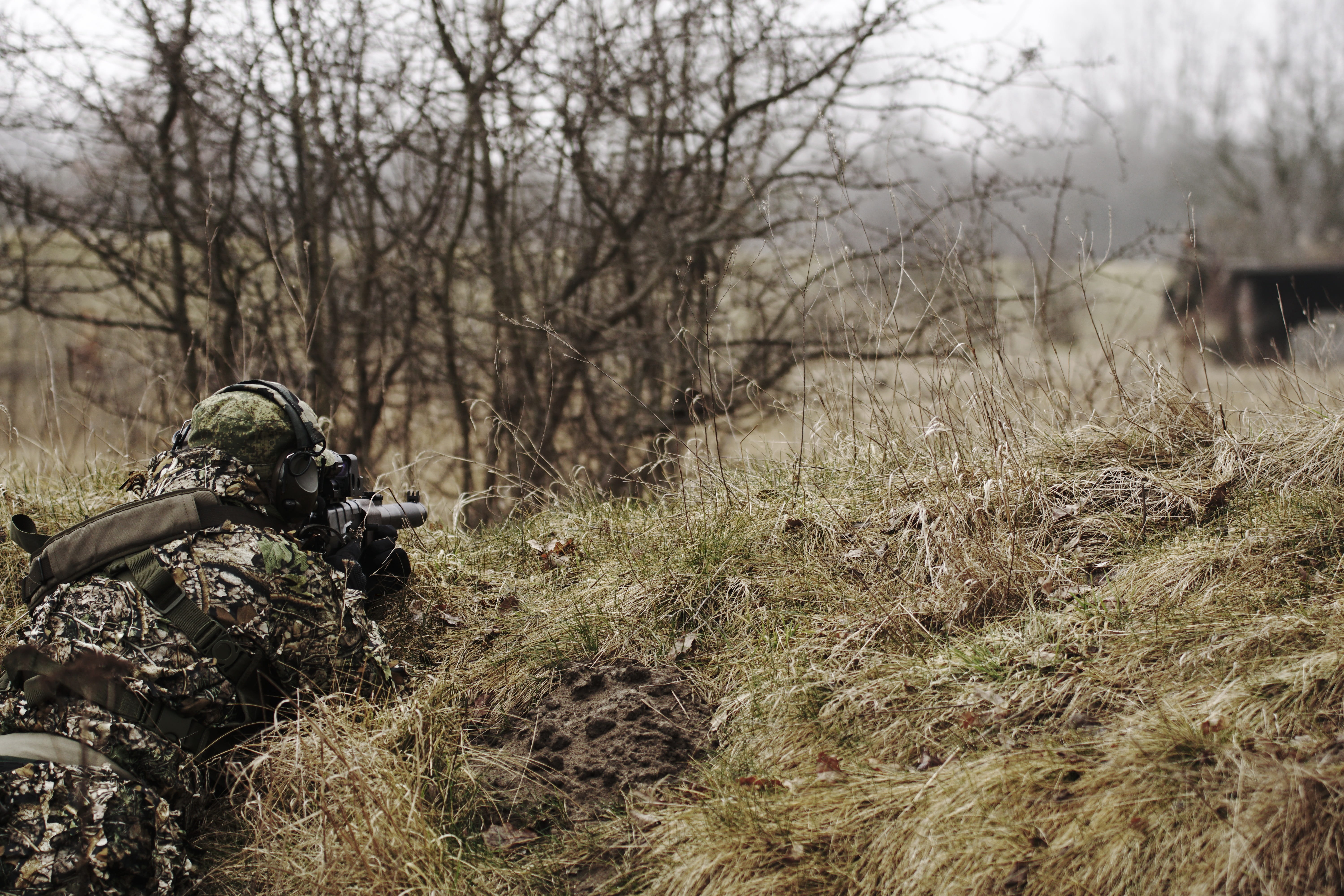 military, focus on foreground, bare tree, team, weapon, tactical, armed forces, uniform, army, militaria, replica, military uniform, airsoft, grass, replica airsoft, HD Wallpaper