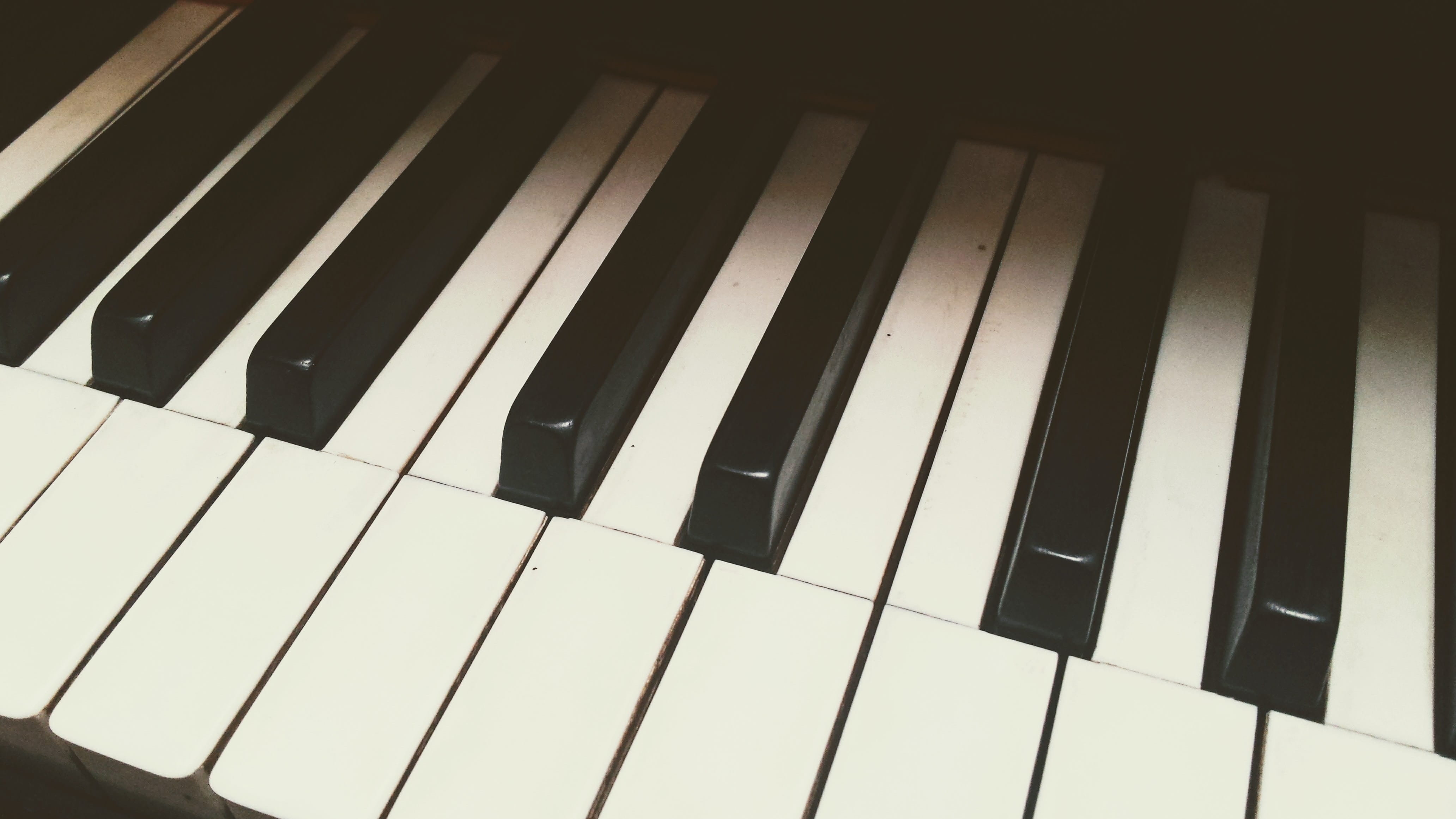 full frame, keyboard instrument, musician, close-up, in a row, 4K, music, studio shot, instrument, keyboard, photo, close, classic, arts culture and entertainment, HD Wallpaper