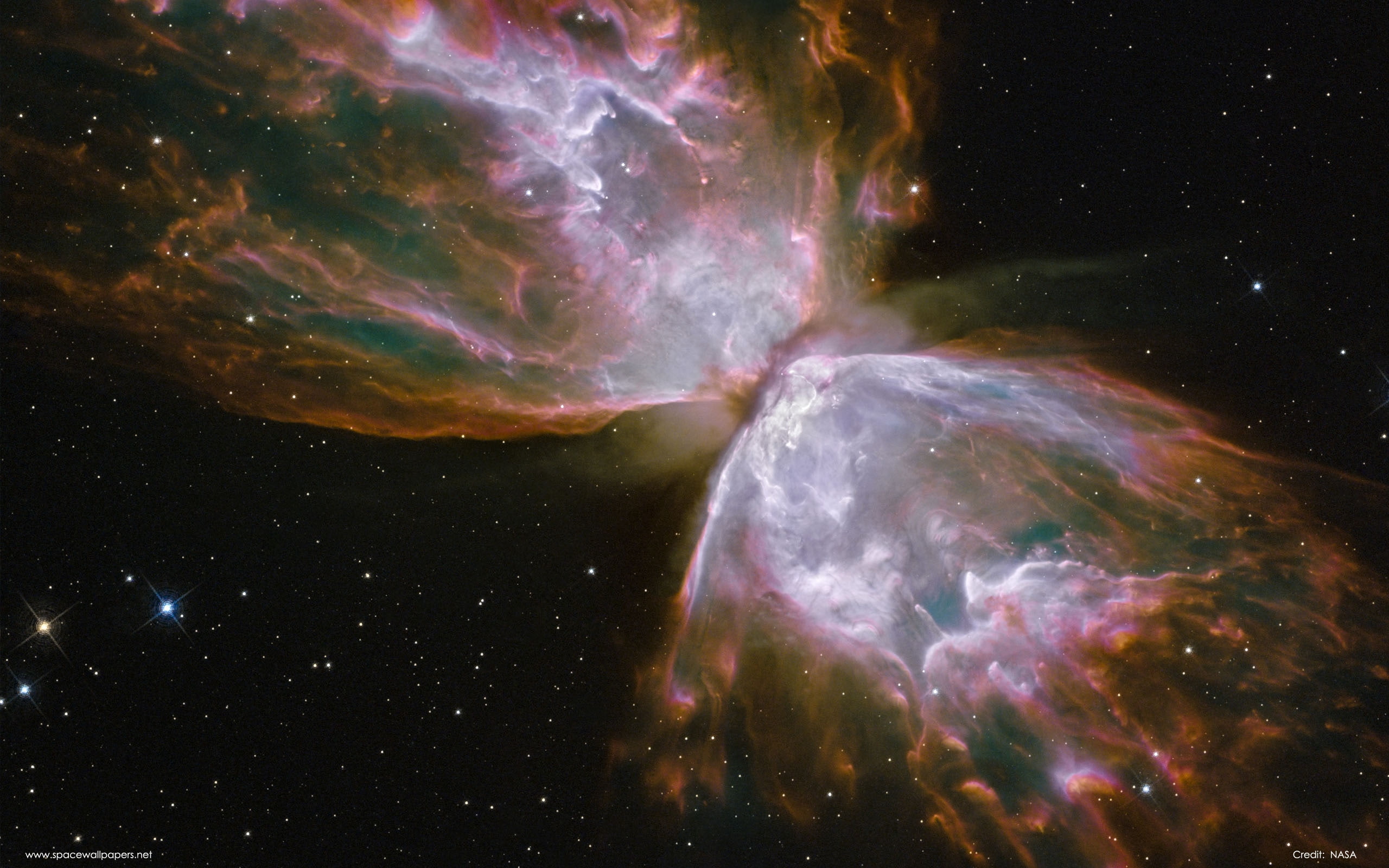 nebulae, 2K, x, art, animals, hd, bugs, HD Wallpaper