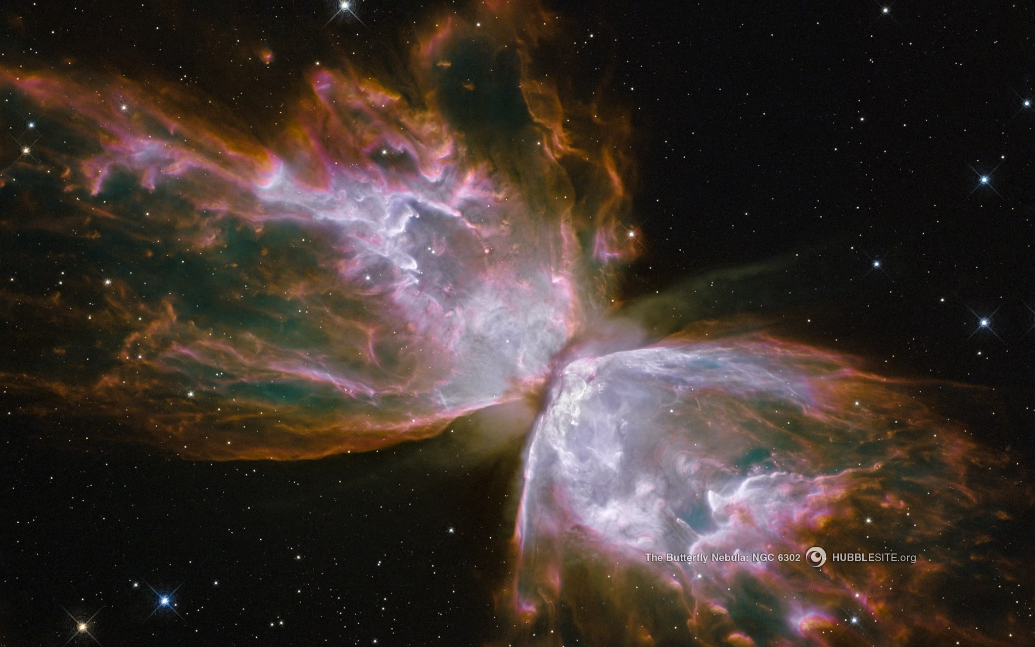 animals, outer, art, outer space, 1080P, nebulae, stars, space, x, butterflies, butterfly, hd, HD Wallpaper