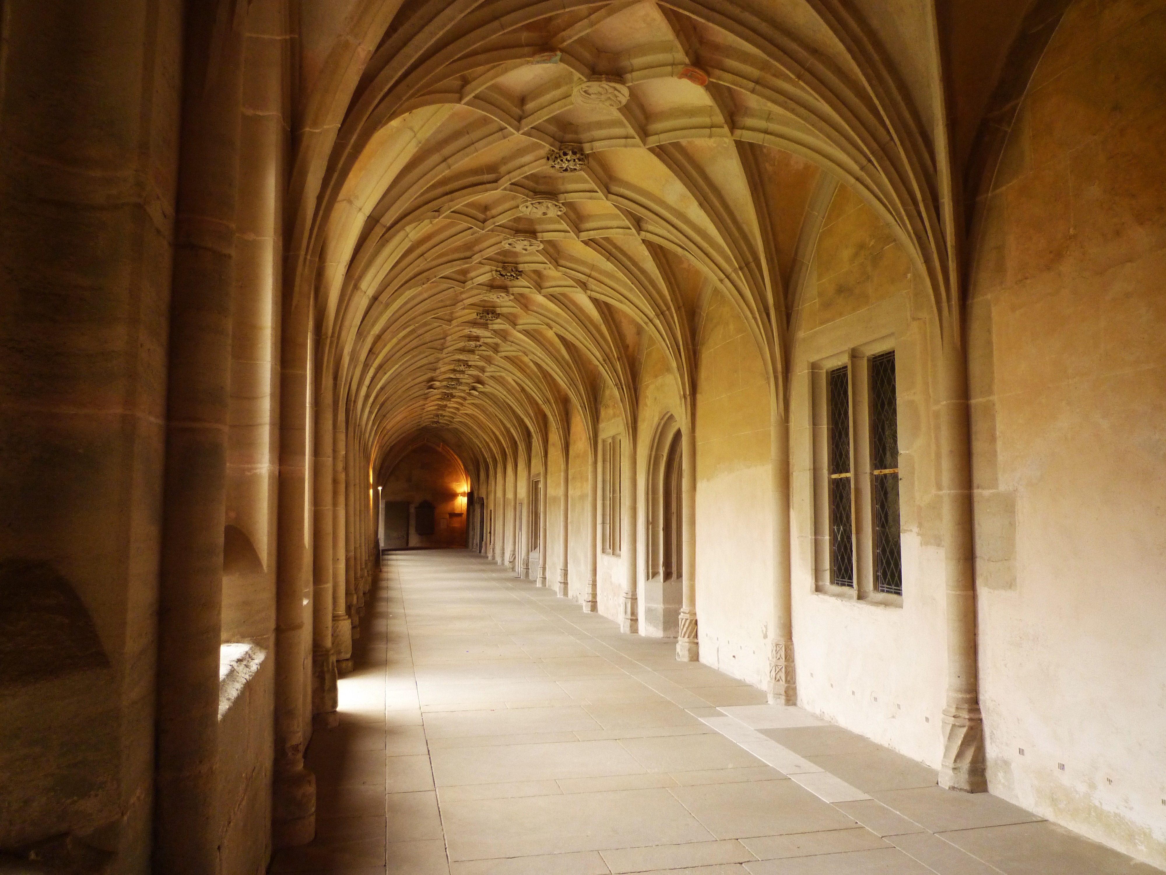 vault, architectural Column, arcade, history, plenty of natural light, architecture, religion, spirituality, built structure, diminishing perspective, empty, HD Wallpaper